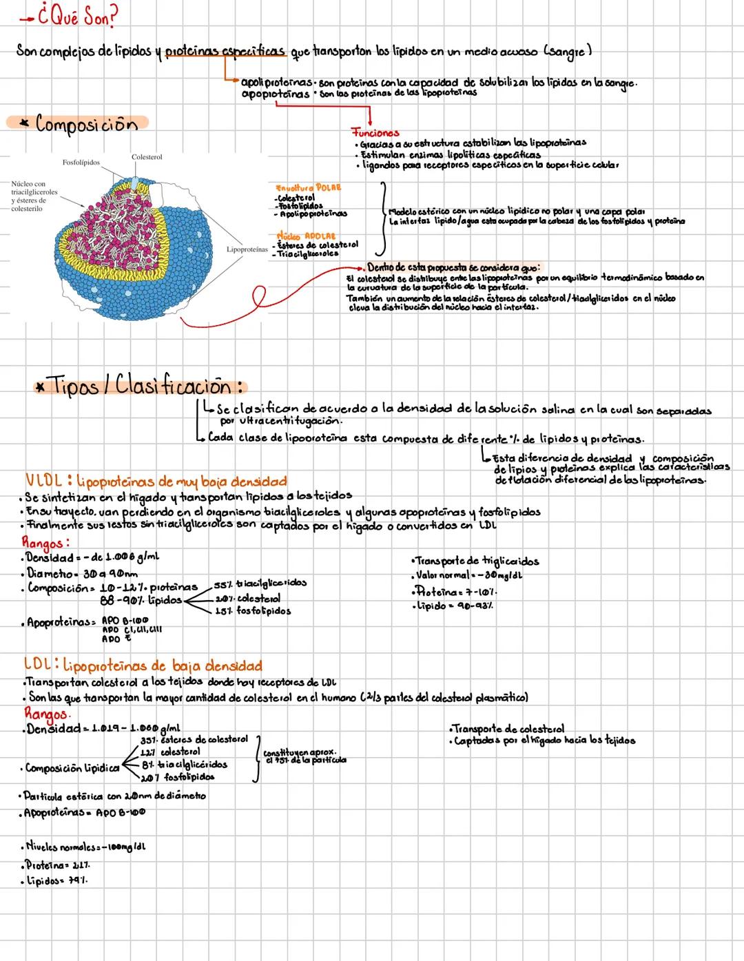 # lipoproteiyas
- INTRODUCCIÓN
Las lipoproteinas del plasma son complejas, en los cuales los lipidos y las proteinas están en una relació