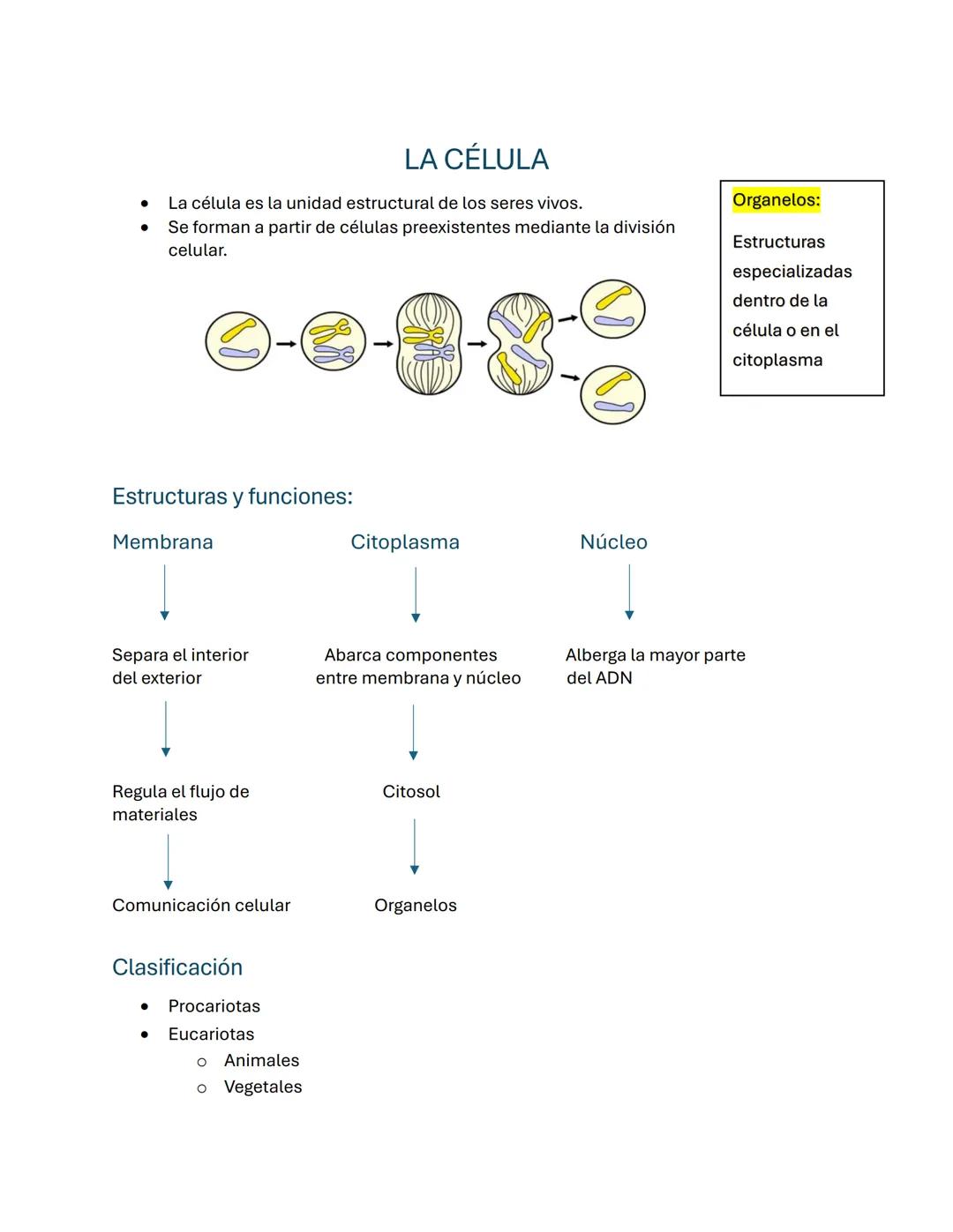 # LA CÉLULA
- La célula es la unidad estructural de los seres vivos.
- Se forman a partir de células preexistentes mediante la división
cel