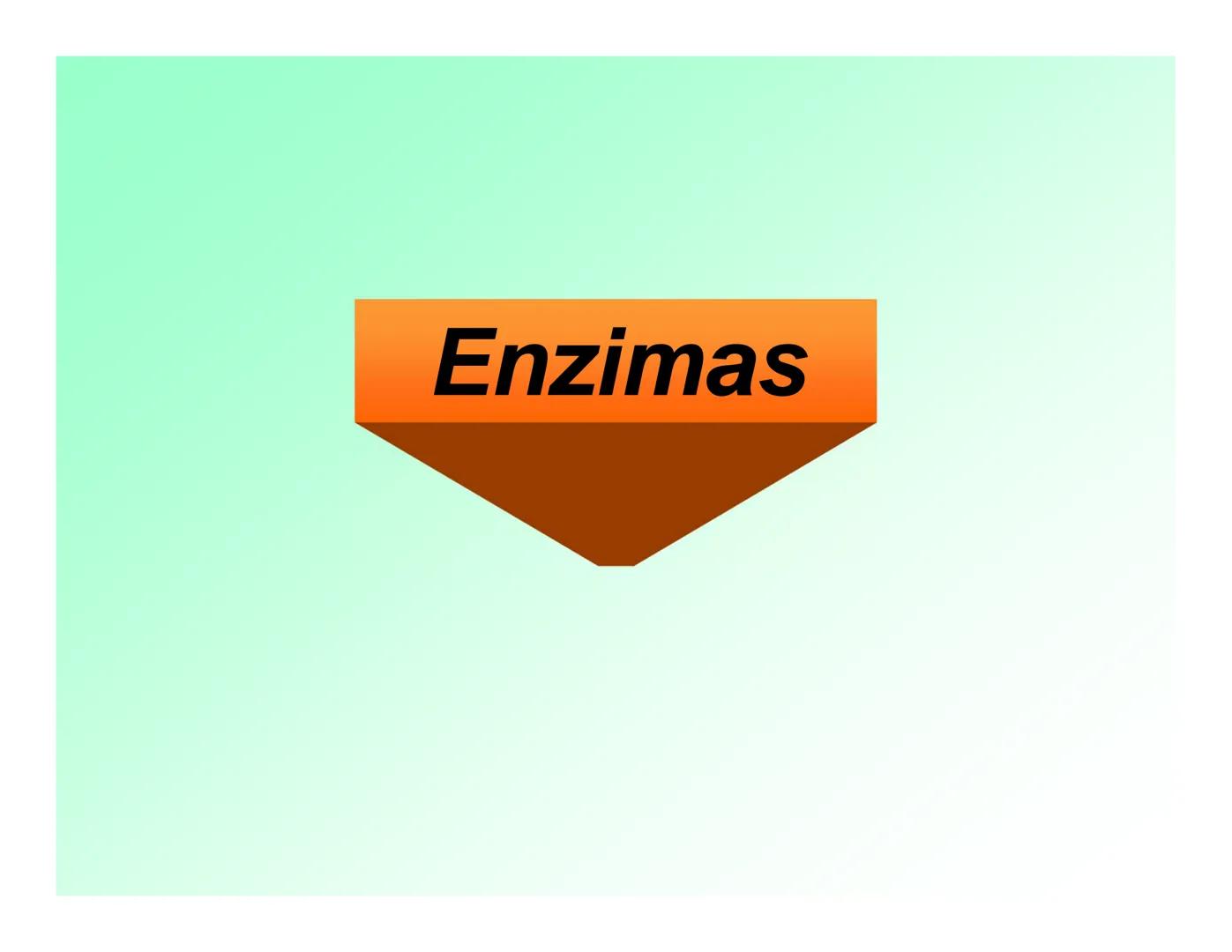 Enzimas .
Enzimas
Proteínas de forma globular
•Aceleran reacciones específicas químicas (10³-10 20)
•Catalizadores biológicos.
Pepsina •Espe