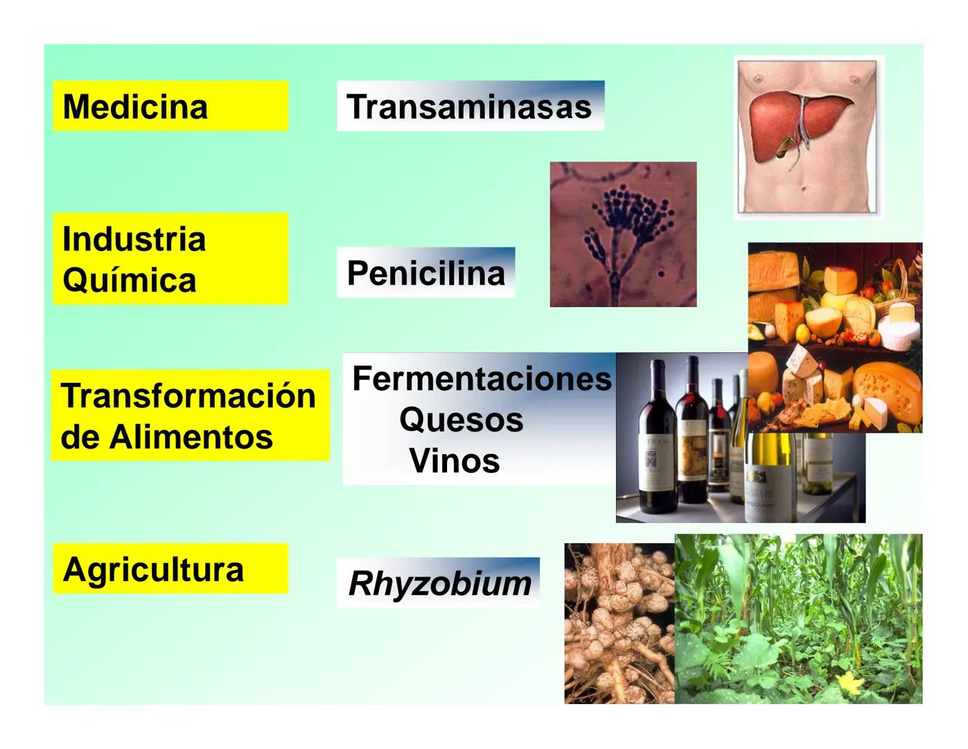 Enzimas .
Enzimas
Proteínas de forma globular
•Aceleran reacciones específicas químicas (10³-10 20)
•Catalizadores biológicos.
Pepsina •Espe