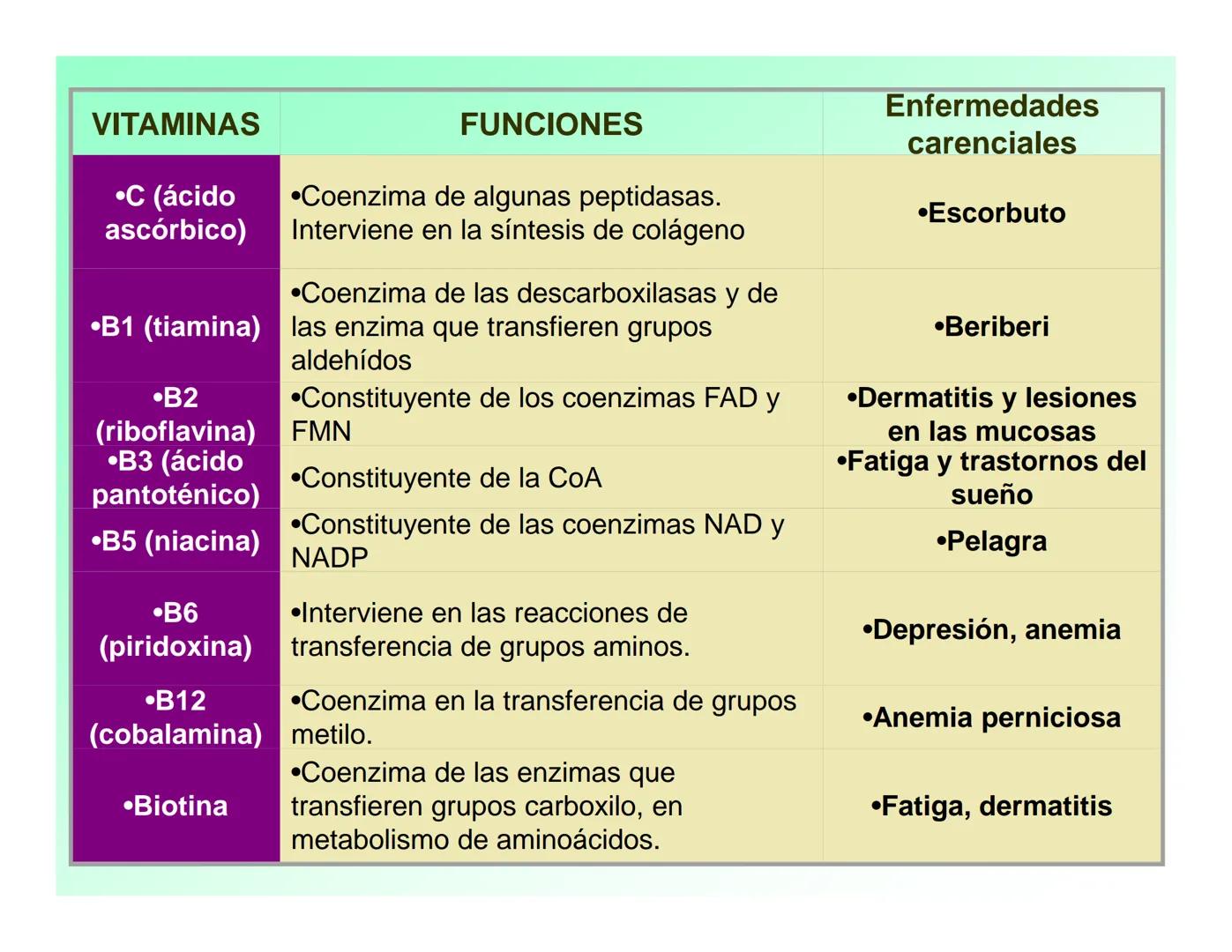Enzimas .
Enzimas
Proteínas de forma globular
•Aceleran reacciones específicas químicas (10³-10 20)
•Catalizadores biológicos.
Pepsina •Espe
