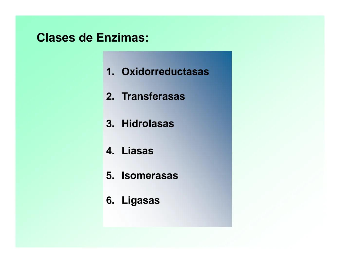 Enzimas .
Enzimas
Proteínas de forma globular
•Aceleran reacciones específicas químicas (10³-10 20)
•Catalizadores biológicos.
Pepsina •Espe