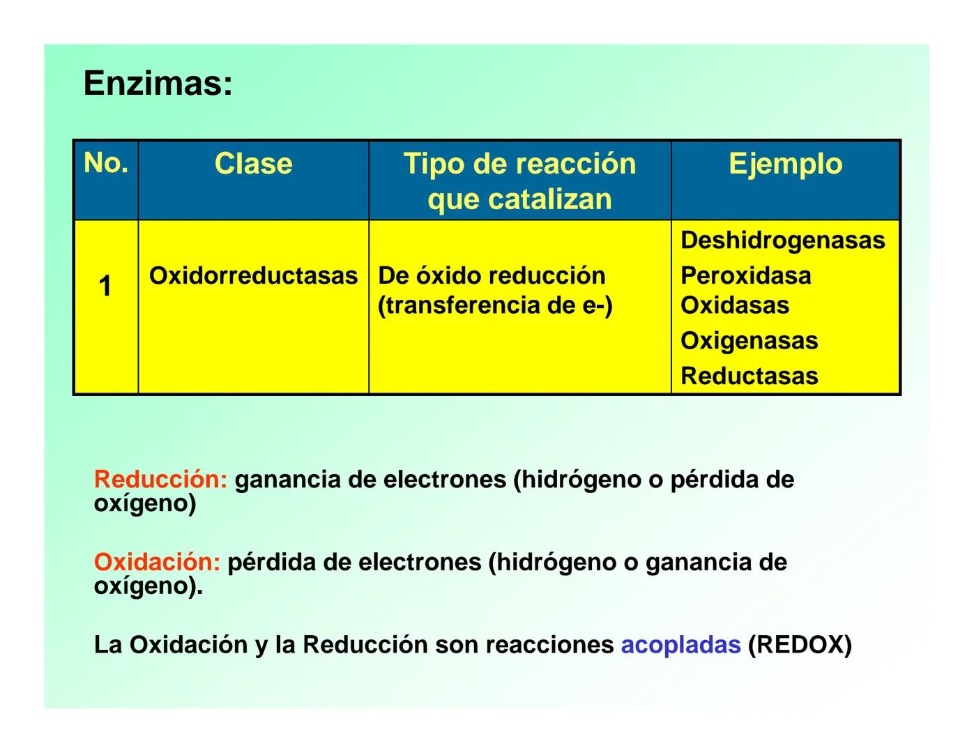 Enzimas .
Enzimas
Proteínas de forma globular
•Aceleran reacciones específicas químicas (10³-10 20)
•Catalizadores biológicos.
Pepsina •Espe