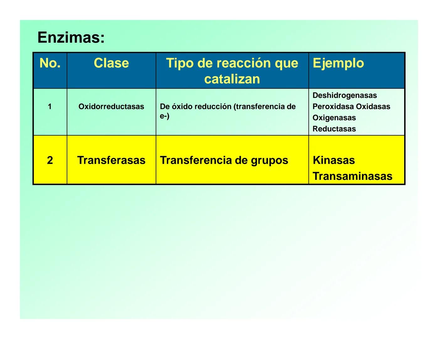 Enzimas .
Enzimas
Proteínas de forma globular
•Aceleran reacciones específicas químicas (10³-10 20)
•Catalizadores biológicos.
Pepsina •Espe