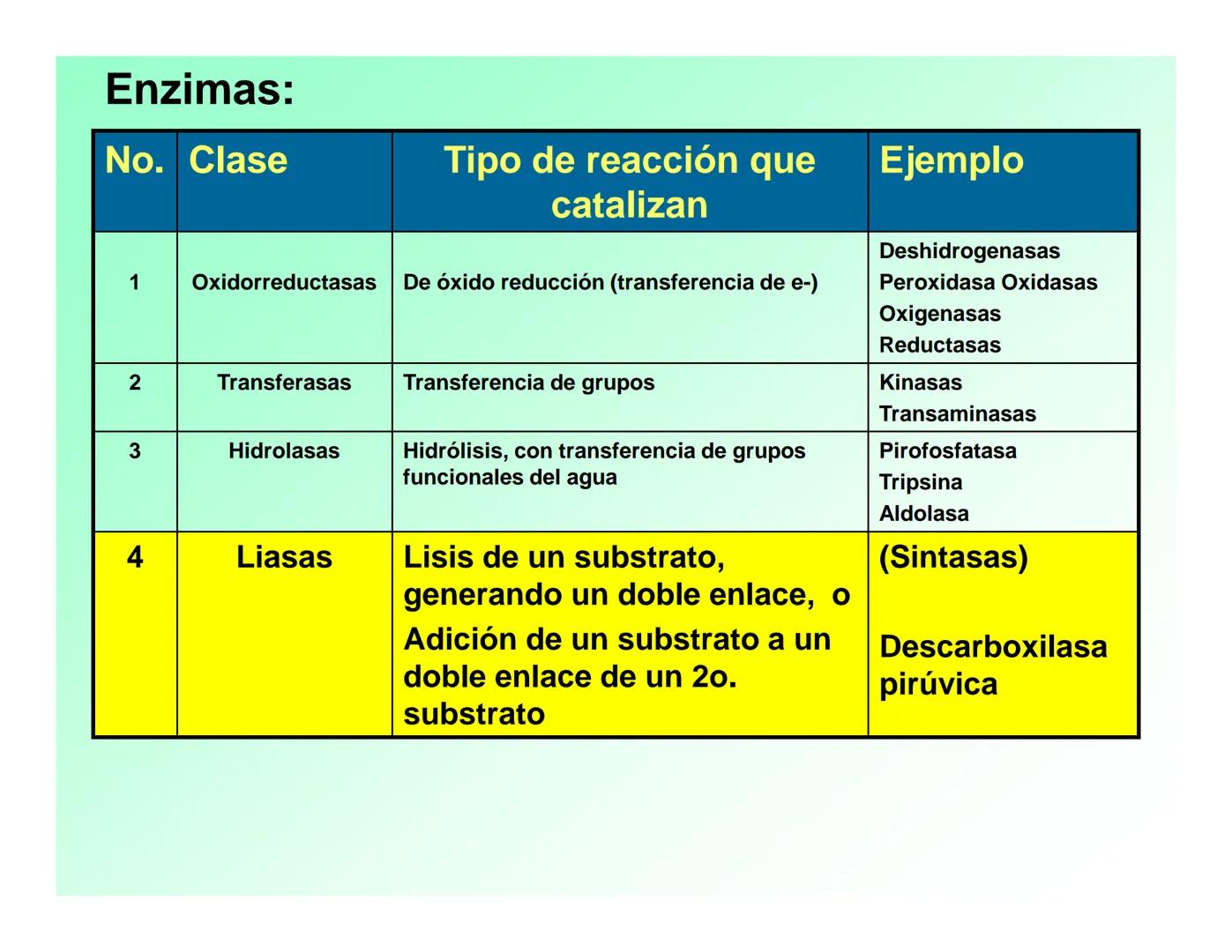 Enzimas .
Enzimas
Proteínas de forma globular
•Aceleran reacciones específicas químicas (10³-10 20)
•Catalizadores biológicos.
Pepsina •Espe