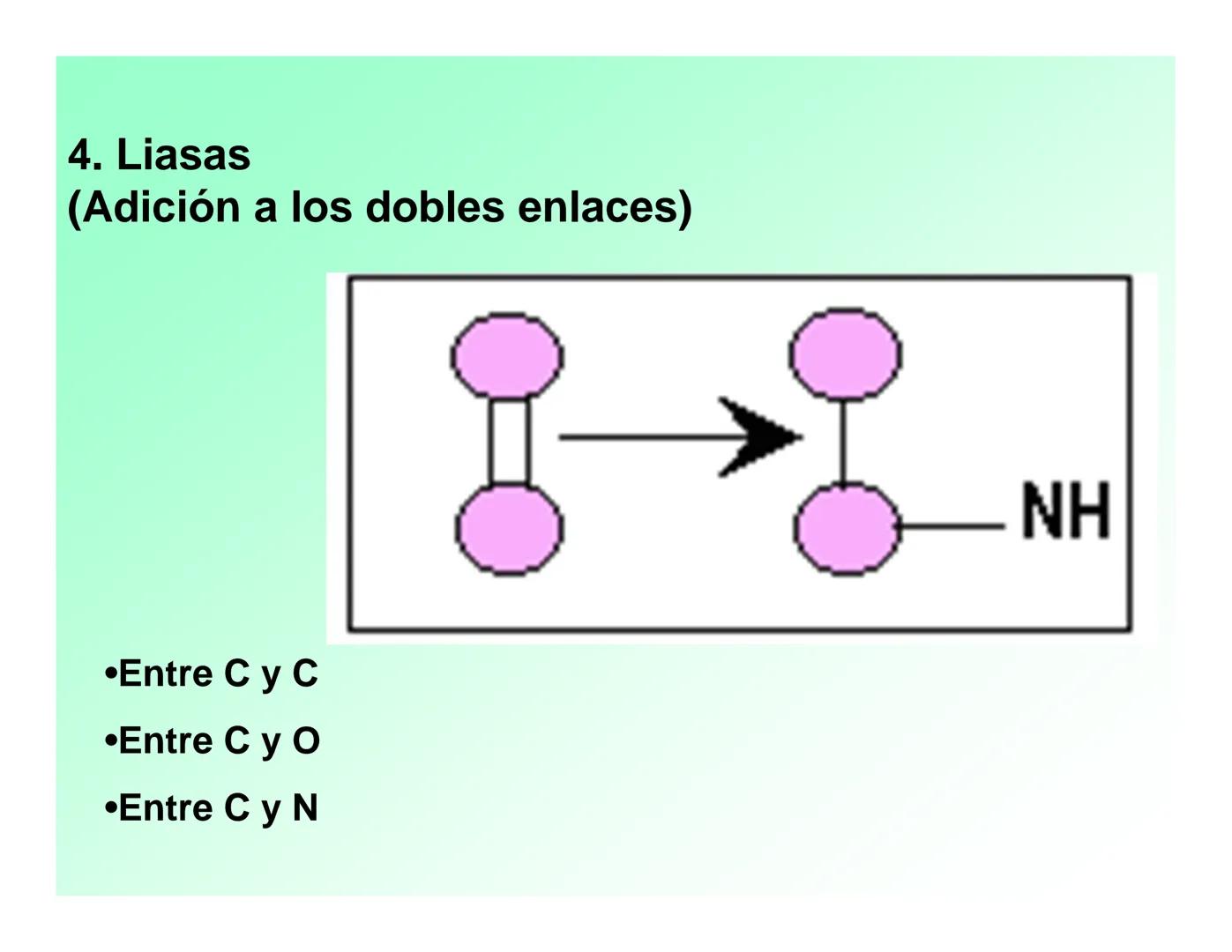 Enzimas .
Enzimas
Proteínas de forma globular
•Aceleran reacciones específicas químicas (10³-10 20)
•Catalizadores biológicos.
Pepsina •Espe