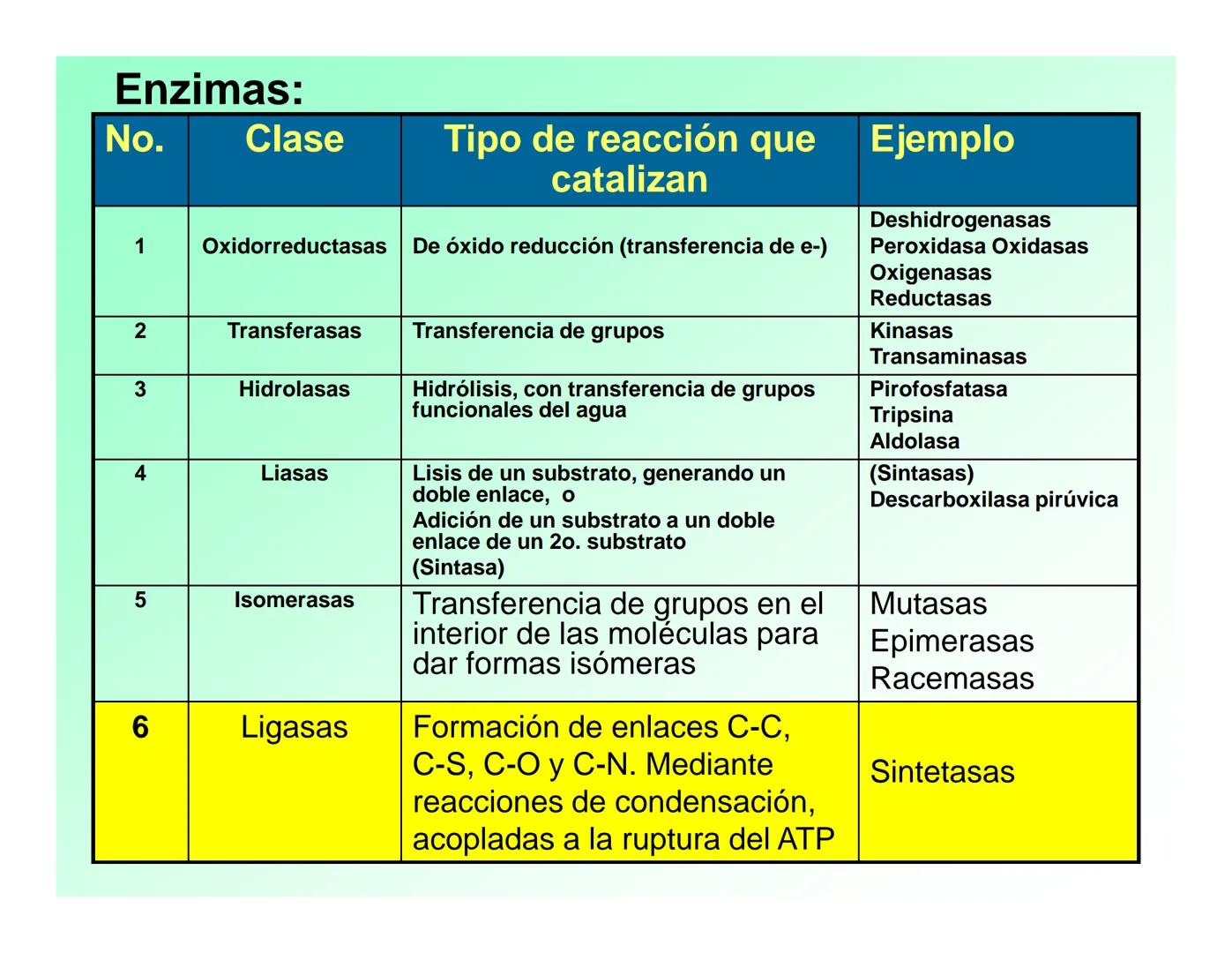 Enzimas .
Enzimas
Proteínas de forma globular
•Aceleran reacciones específicas químicas (10³-10 20)
•Catalizadores biológicos.
Pepsina •Espe