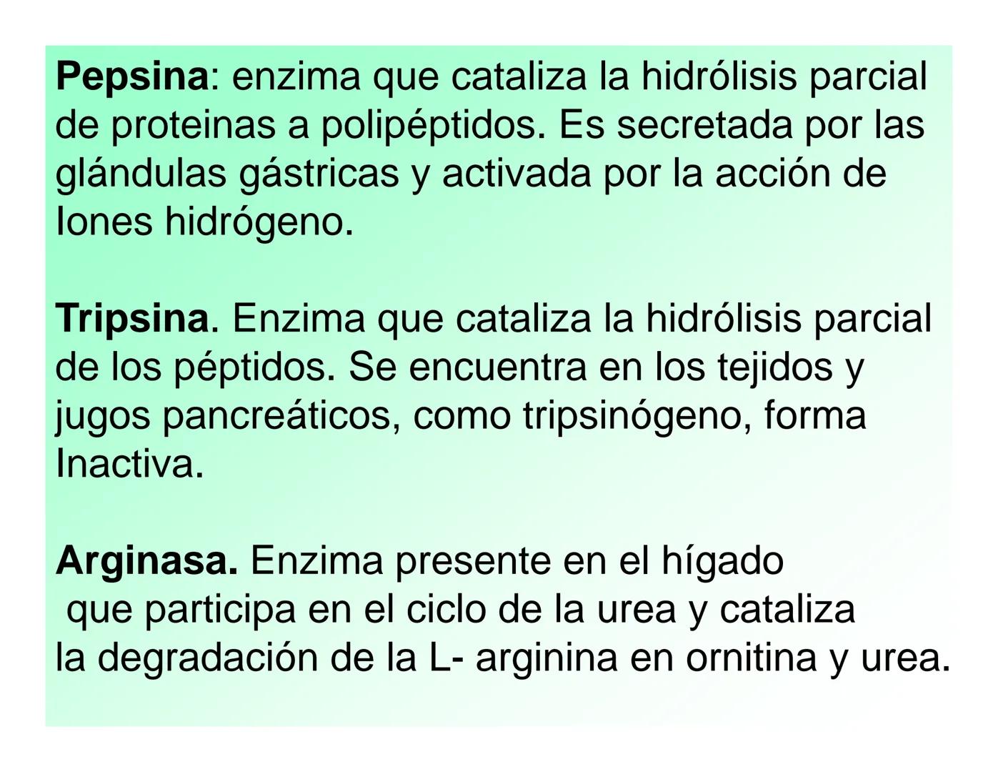 Enzimas .
Enzimas
Proteínas de forma globular
•Aceleran reacciones específicas químicas (10³-10 20)
•Catalizadores biológicos.
Pepsina •Espe