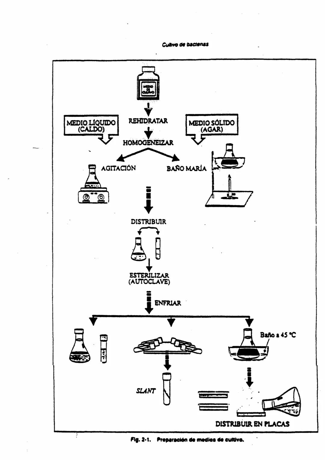 # PREPARACION DE MEDIOS DE CULTIVO
## MEDIOS DE CULTIVO
Un medio de cultivo es un conjunto de nutrientes, factores de crecimiento
y otros