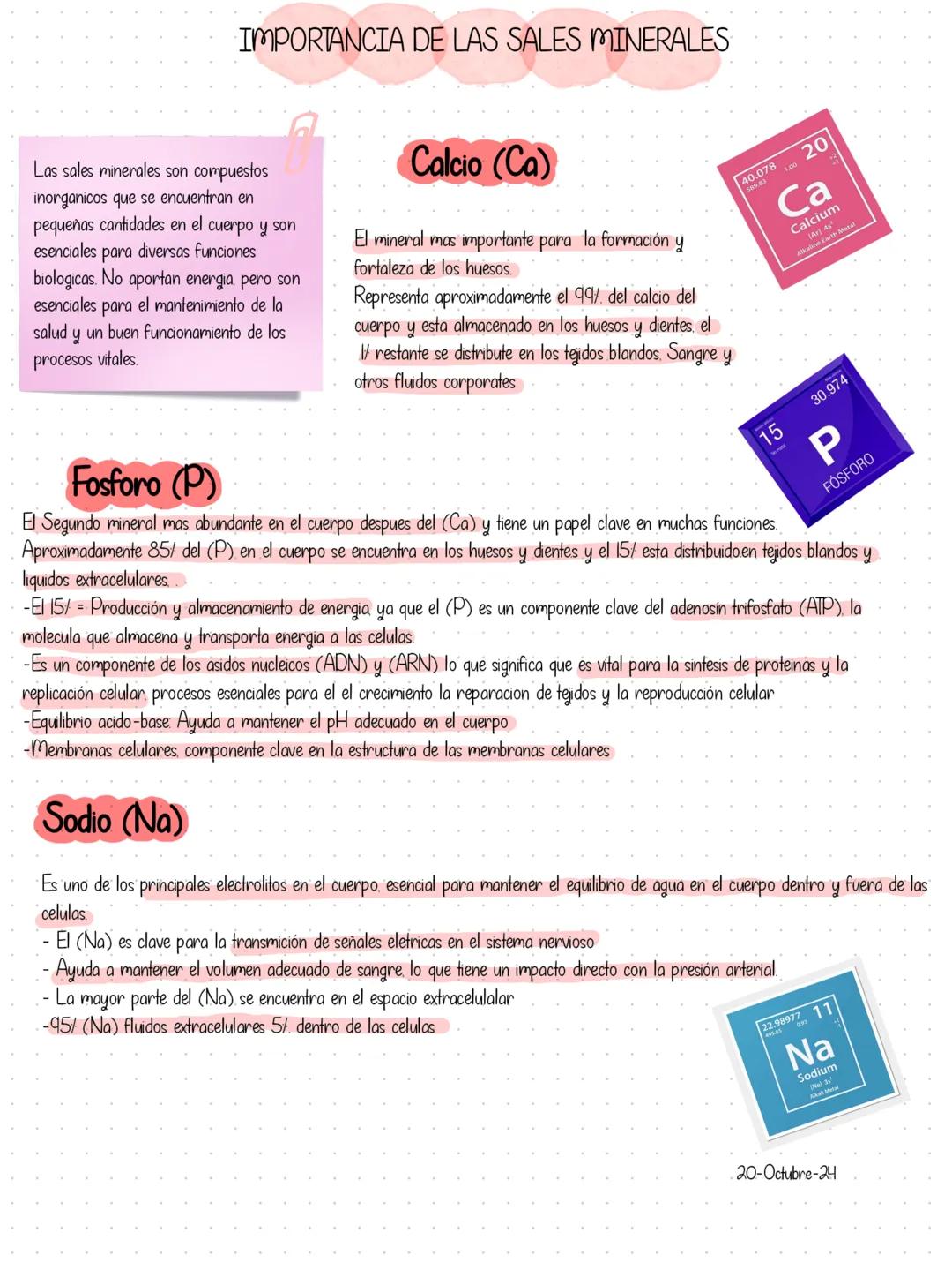 IMPORTANCIA DE LAS SALES MINERALES
Las sales minerales son compuestos
inorganicos que se encuentran en
pequeñas cantidades en el cuerpo y so