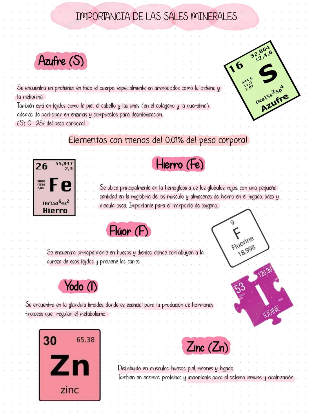 IMPORTANCIA DE LAS SALES MINERALES
Las sales minerales son compuestos
inorganicos que se encuentran en
pequeñas cantidades en el cuerpo y so