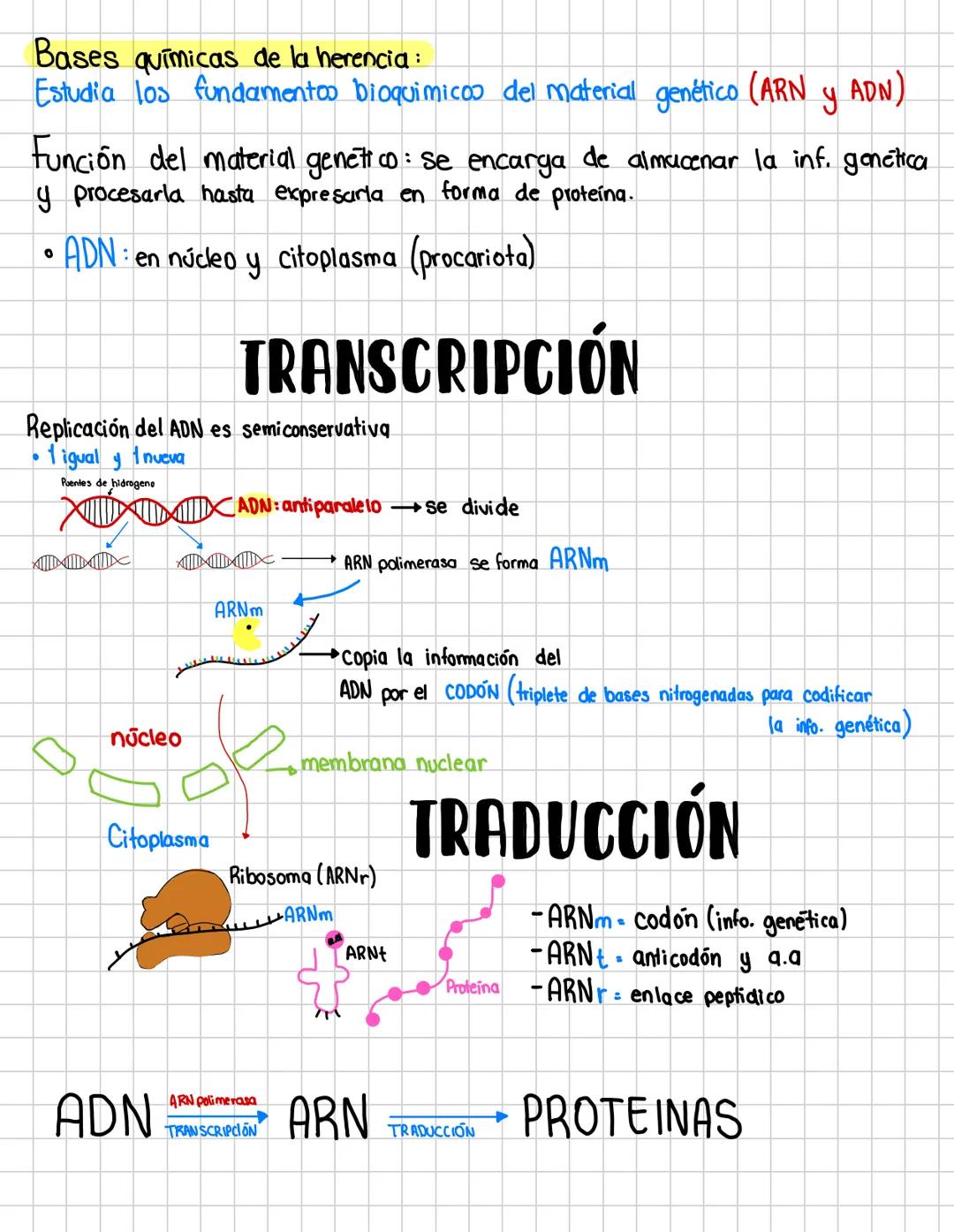 # Bases químicas de la herencia:
Estudia los fundamentos bioquimicos del material genético (ARN y ADN)
Función del material genetico: se enc