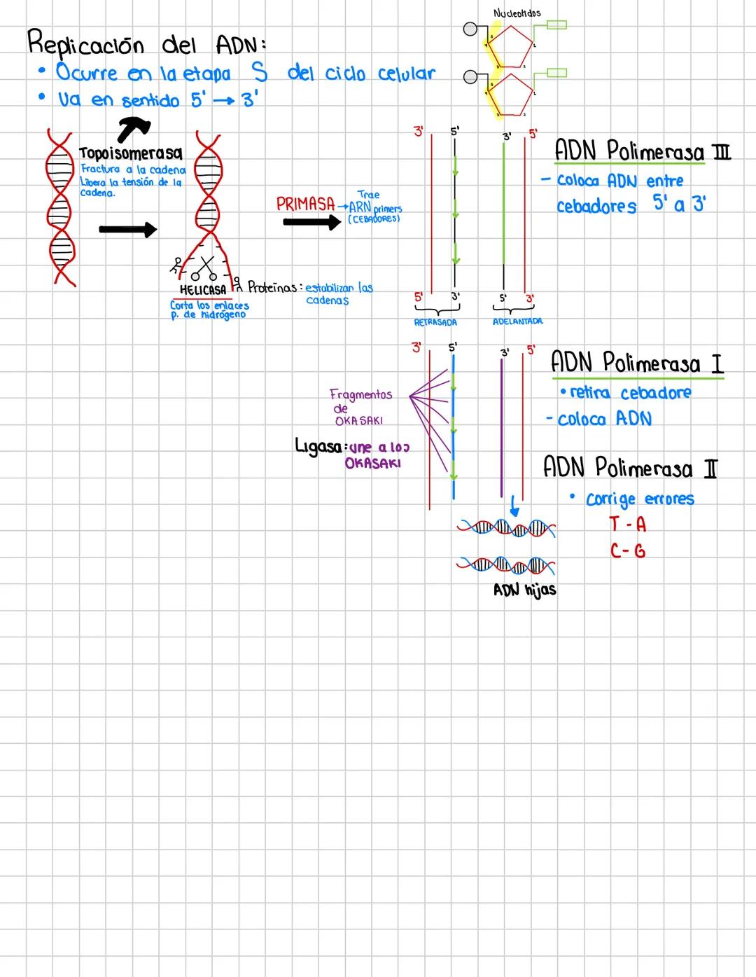 # Bases químicas de la herencia:
Estudia los fundamentos bioquimicos del material genético (ARN y ADN)
Función del material genetico: se enc