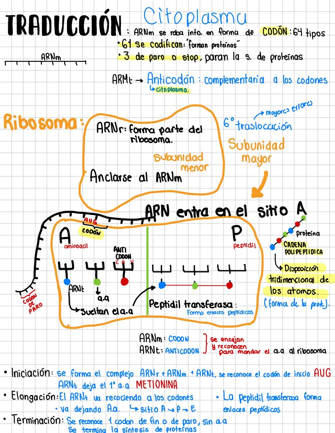 # Bases químicas de la herencia:
Estudia los fundamentos bioquimicos del material genético (ARN y ADN)
Función del material genetico: se enc
