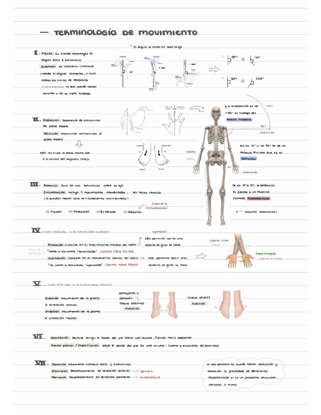 Terminología en Anatomía