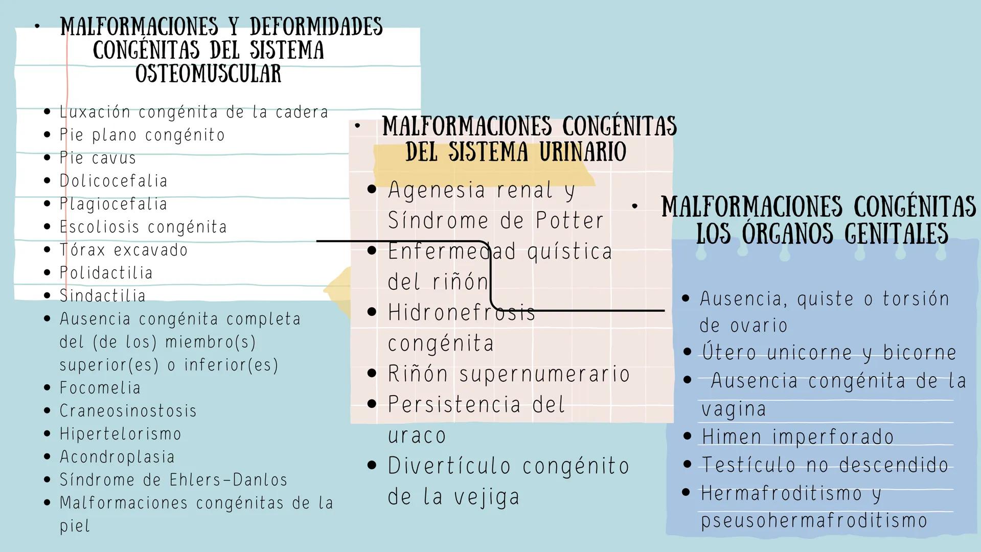 CUIDADOS DEL RECIÉN
NACIDO PREMATURO Y
RIESGO
Est. Lic. Enf.Daniela Alarcón de la Cruz
Est. Lic. Enf. Naomi Nava
Est. Lic. Enf. Catherine Co