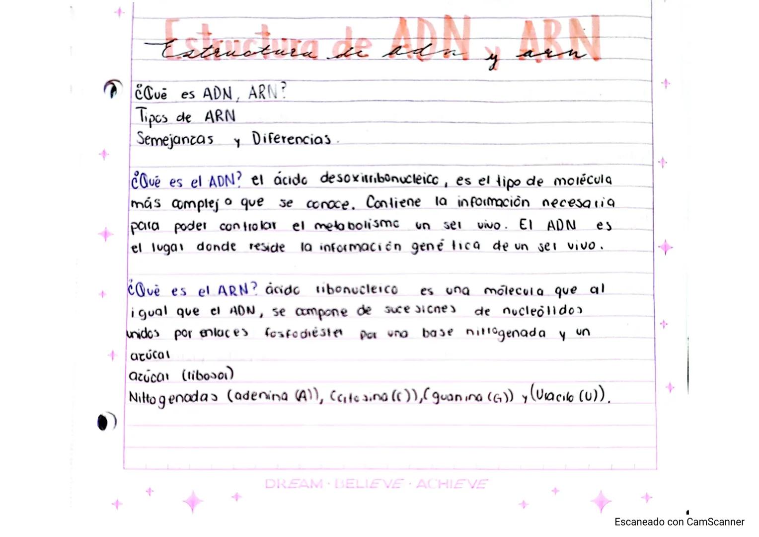 # Estructura de ada
y arn
ARN
¿Que es ADN, ARN?
Tipos de ARN
Semejanzas y Diferencias.
¿Qué es el ADN? el ácido desoxitribonucleico es e