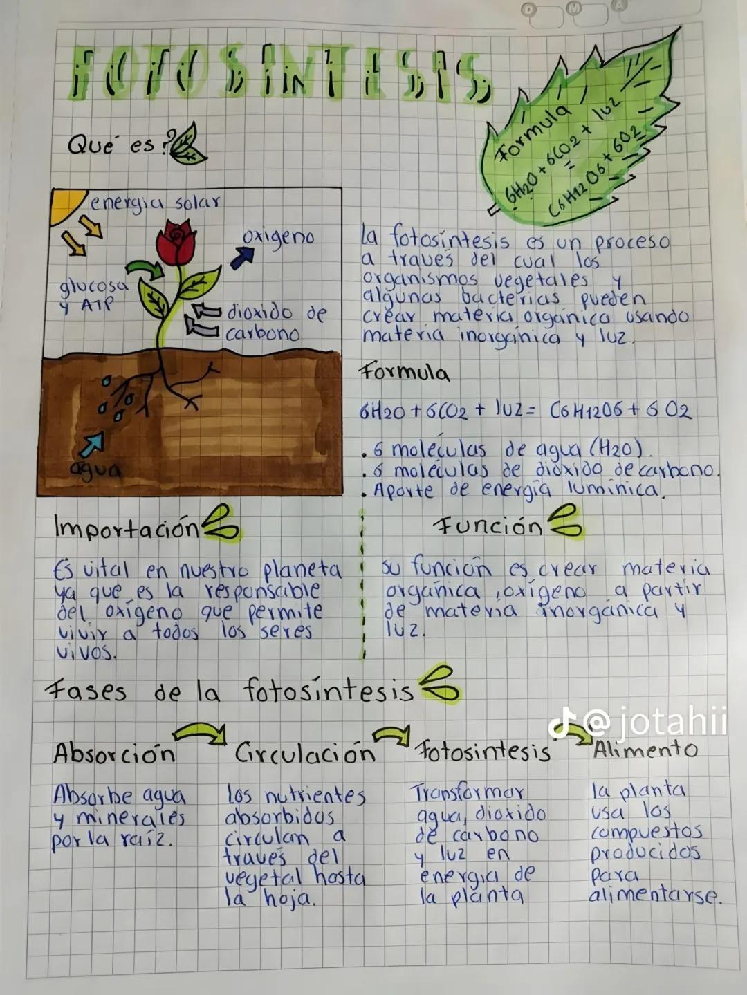 ## FOTOSINTESIS
Qué es?
energia solar
Formula
= 6H20+6602 + 102-
C6H12O6+602
Oxigeno
glucosa
Y ATP
dioxido de
Carbono
স
agua
Import