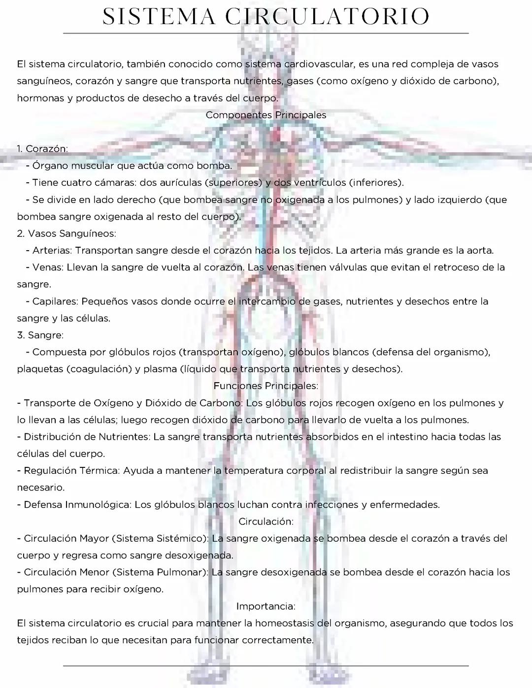 Sistema circulatorio