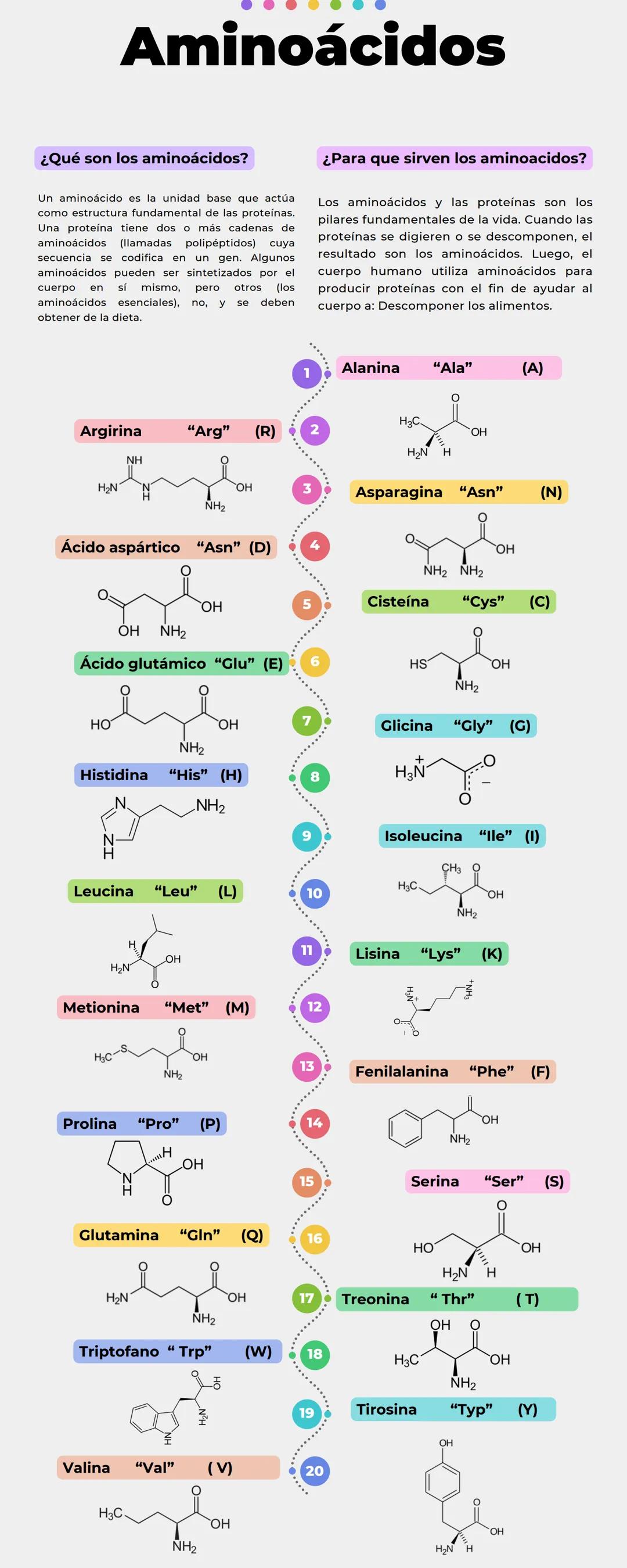 # Aminoácidos
¿Qué son los aminoácidos?
Un aminoácido es la unidad base que actúa
como estructura fundamental proteínas.
Una proteina tien