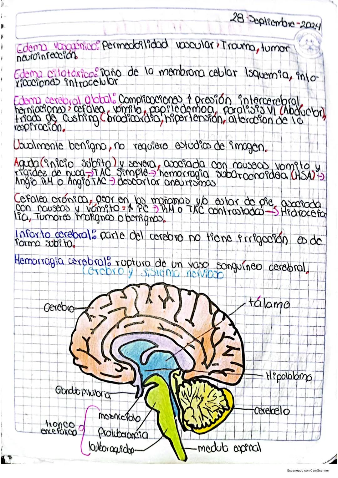 # Cráneo
28-Septiembre-2024
ste se divide en boyeda croneal que cuenta con 8 huesos
y el macizo facial cuento con 14 huesos
Boveda cranca