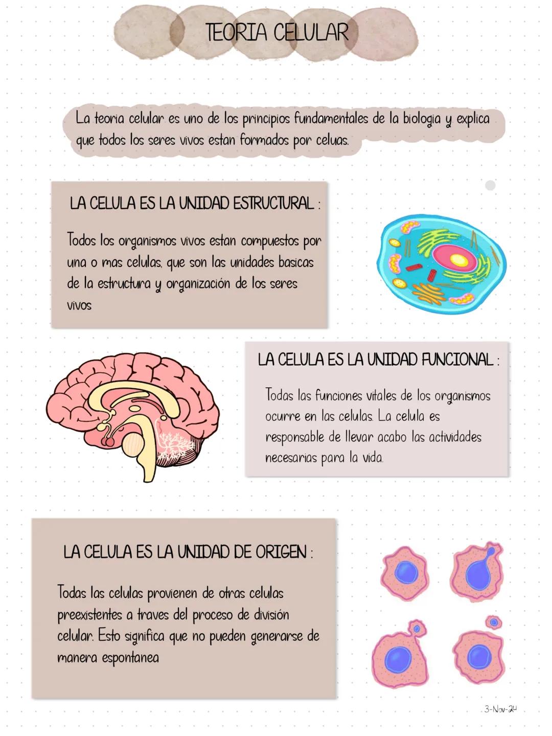 TEORIA CELULAR
La teoria celular es uno de los principios fundamentales de la biologia y explica
que todos los seres vivos estan formados po
