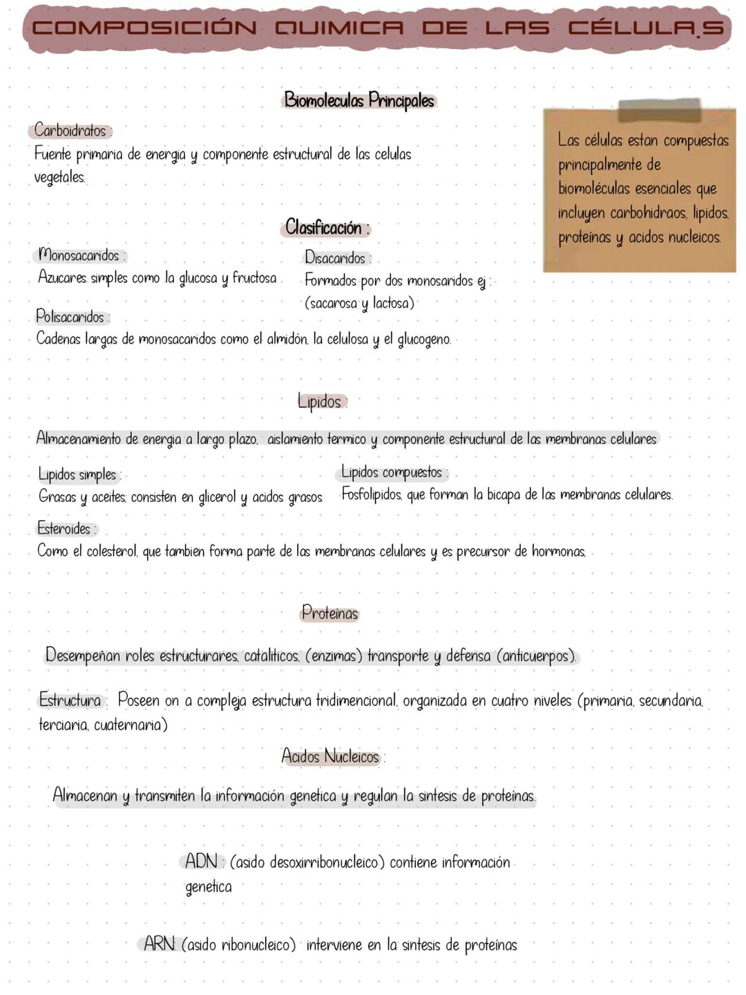 TEORIA CELULAR
La teoria celular es uno de los principios fundamentales de la biologia y explica
que todos los seres vivos estan formados po