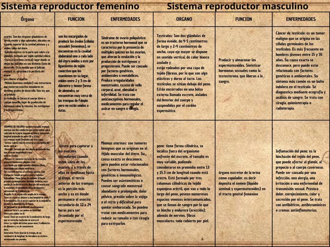 Sistema repoductor femenino y masculino con sus determinados organos