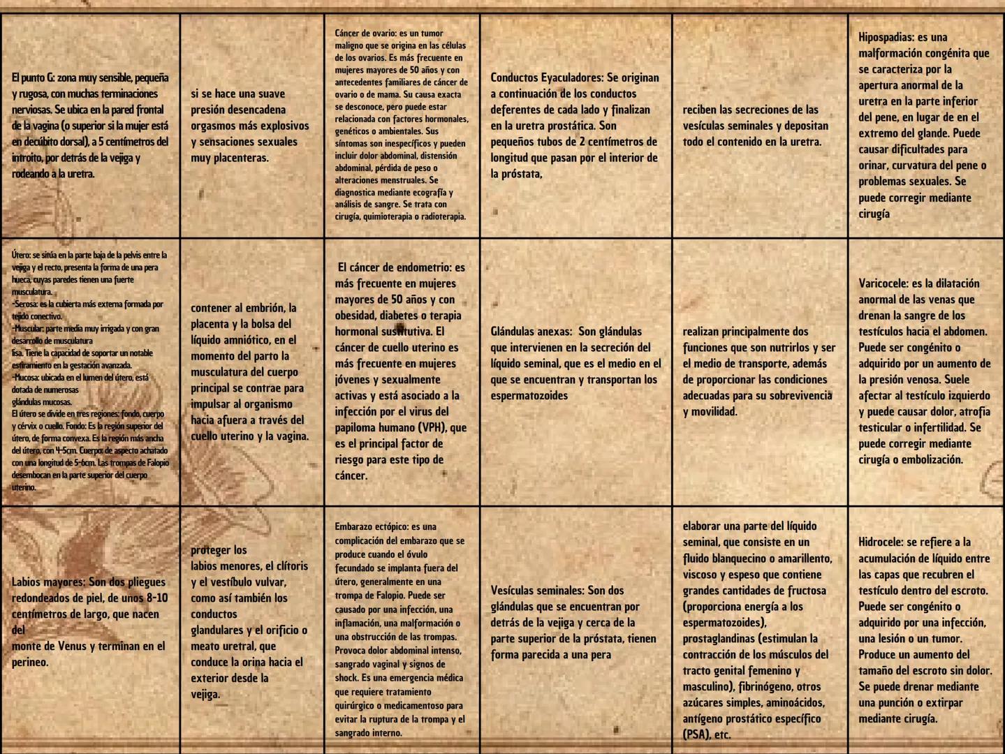 Sistema reproductor femenino
Órgano
FUNCION
ENFERMEDADES
ovarios: Son dos órganos glandulares de
forma ovoide y algo aplanados, ubicados en