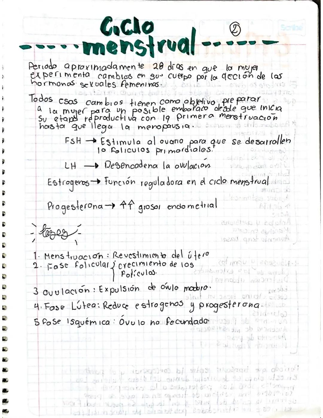 # Aparato
heprofvetor
-Femenino.
Qué es?
Las órganos del aparato reproductor Femenino constan de
genitales internos y externas! Juntos co