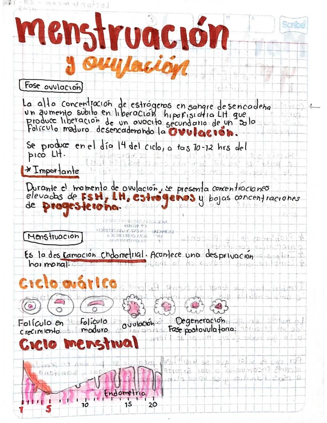 # Aparato
heprofvetor
-Femenino.
Qué es?
Las órganos del aparato reproductor Femenino constan de
genitales internos y externas! Juntos co