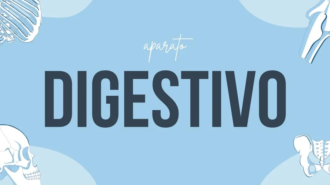 aparato digestivo