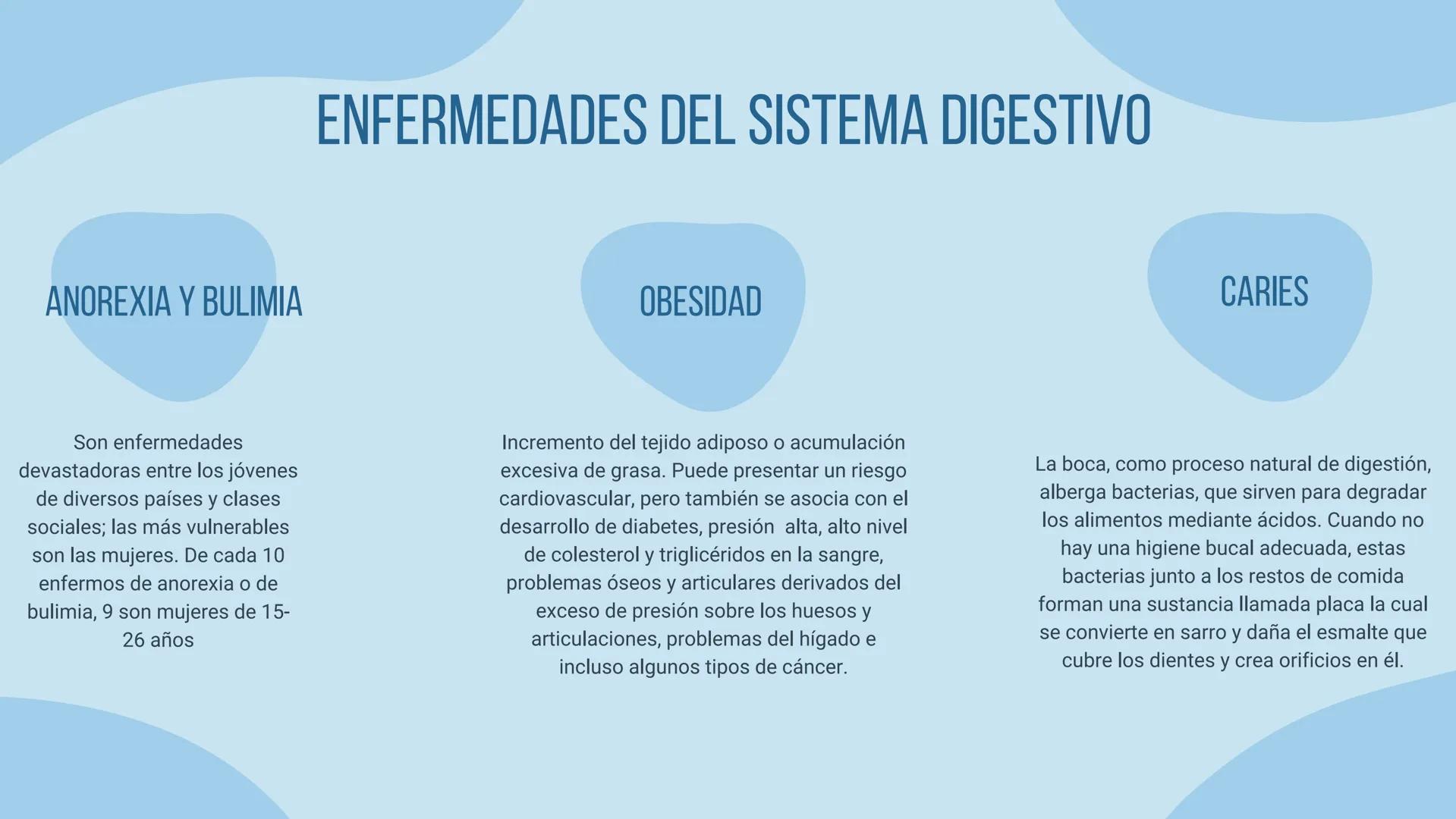 aparato
DIGESTIVO THE DIGESTIVE SYSTEM
El aparato digestivo es el conjunto de órganos
encargados del proceso de la digestión, es decir, la