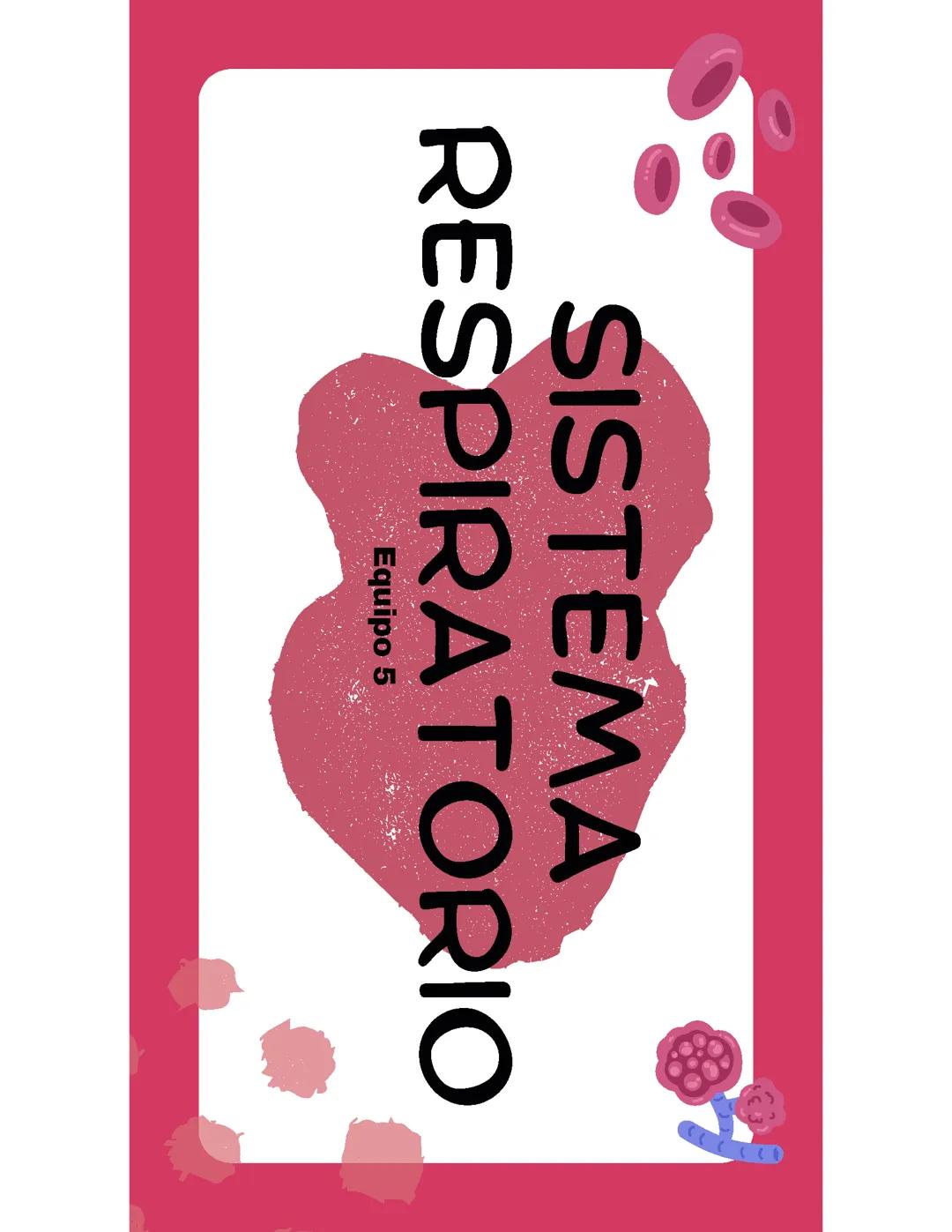 sistema respiratorio