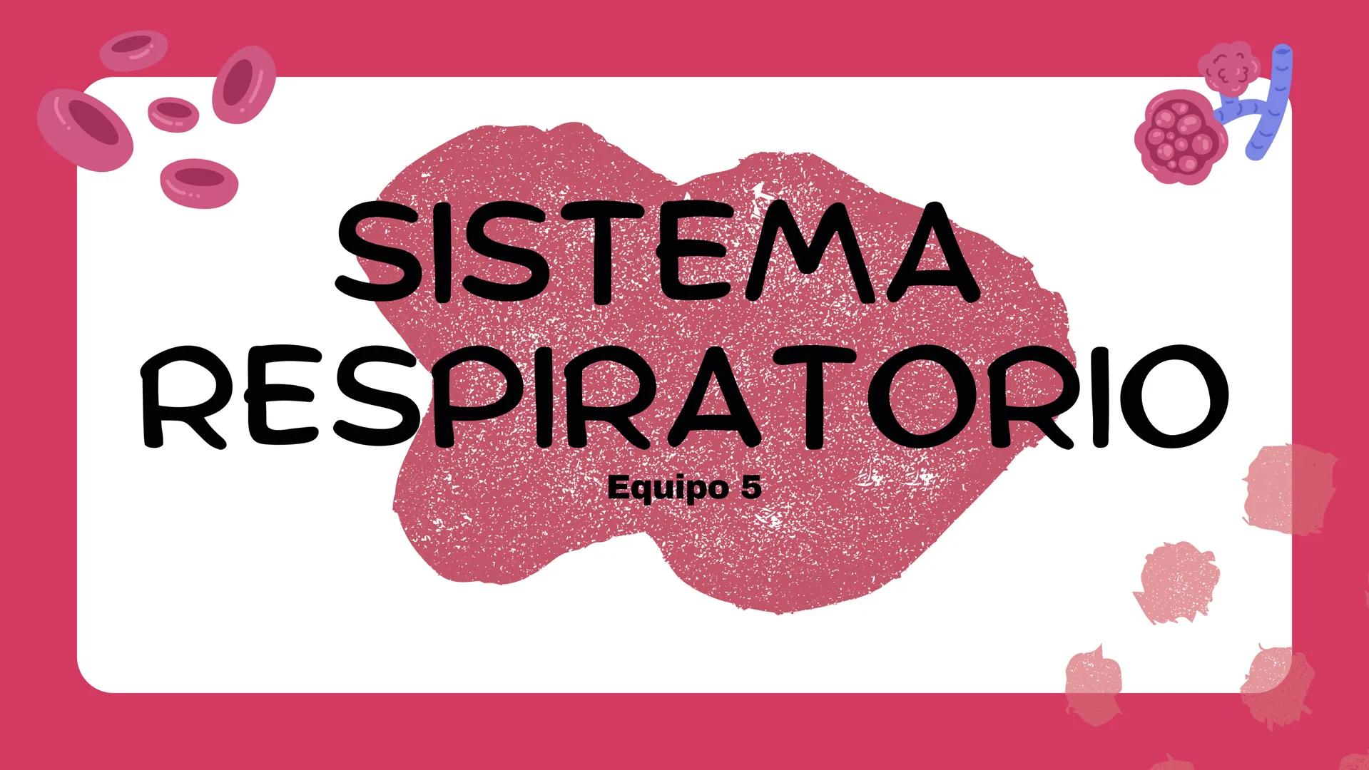 ( ) )
SISTEMA
RESPIRATORIO
Equipo 5 SISTEMA
RESPIRATORIO
El aparato respiratorio es el sistema biológico
encargado de la inhalación de oxíge
