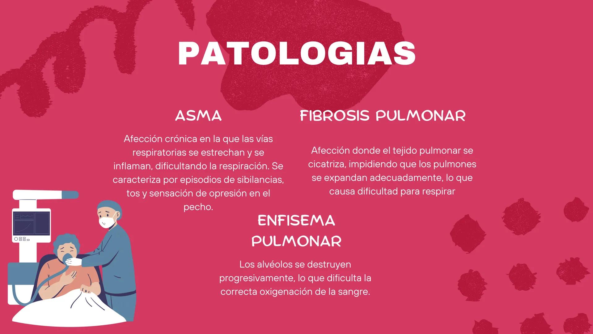 ( ) )
SISTEMA
RESPIRATORIO
Equipo 5 SISTEMA
RESPIRATORIO
El aparato respiratorio es el sistema biológico
encargado de la inhalación de oxíge