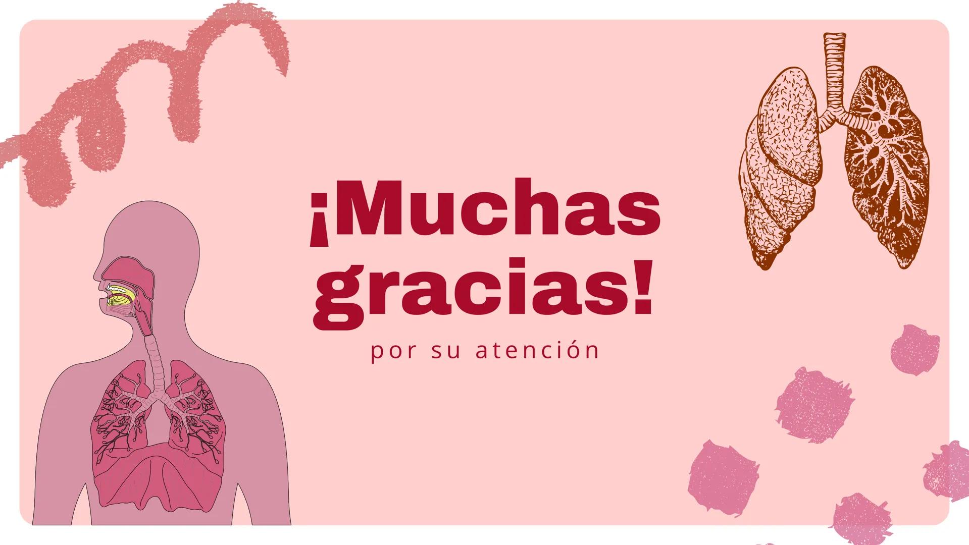 ( ) )
SISTEMA
RESPIRATORIO
Equipo 5 SISTEMA
RESPIRATORIO
El aparato respiratorio es el sistema biológico
encargado de la inhalación de oxíge