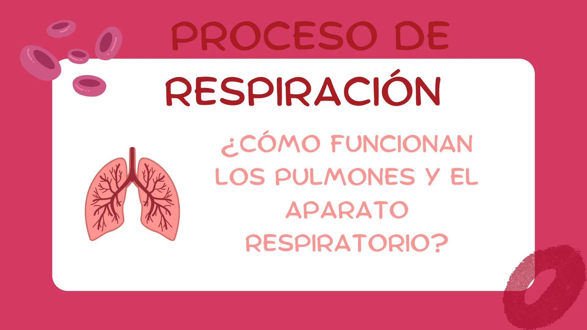 ( ) )
SISTEMA
RESPIRATORIO
Equipo 5 SISTEMA
RESPIRATORIO
El aparato respiratorio es el sistema biológico
encargado de la inhalación de oxíge