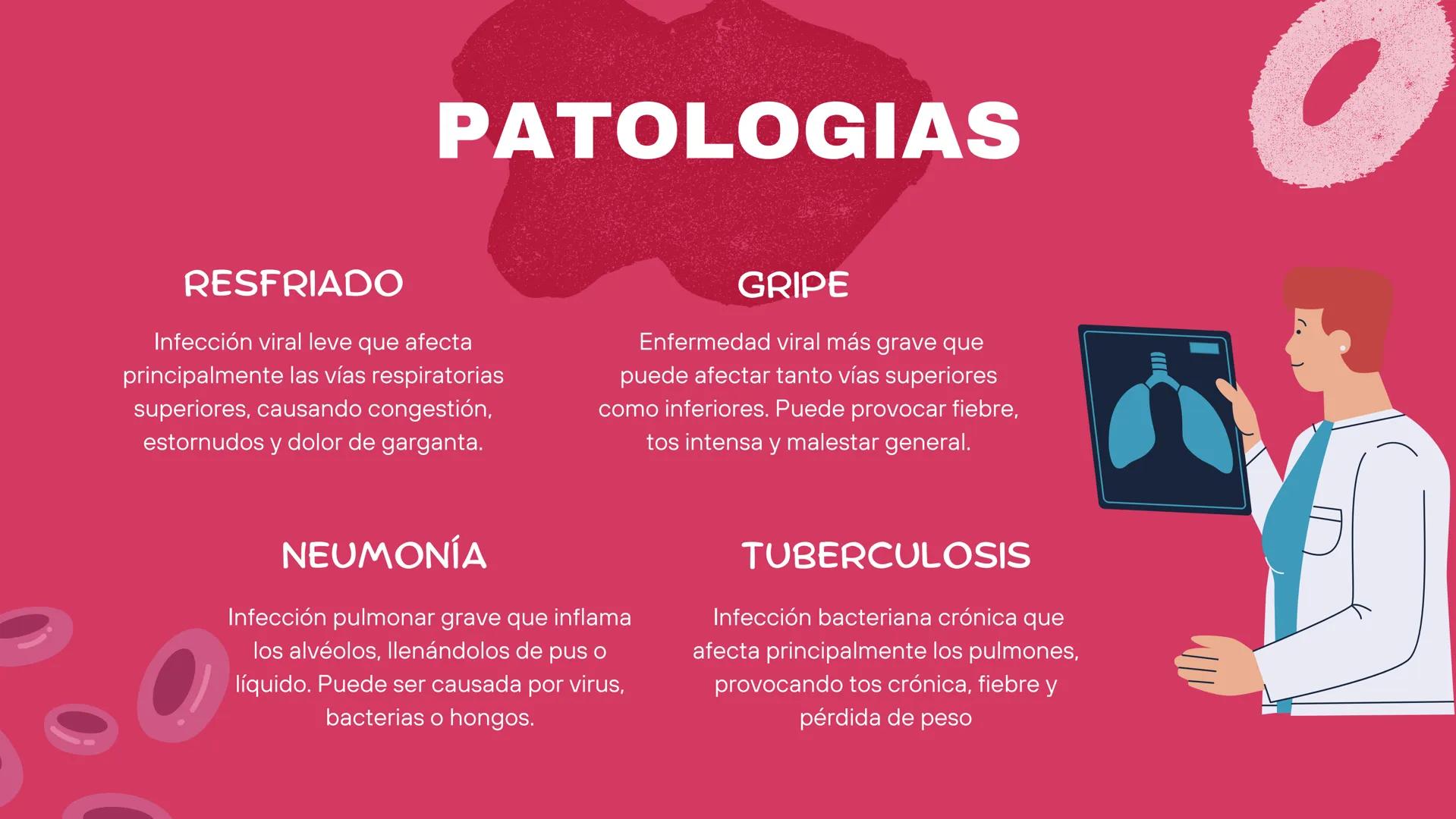( ) )
SISTEMA
RESPIRATORIO
Equipo 5 SISTEMA
RESPIRATORIO
El aparato respiratorio es el sistema biológico
encargado de la inhalación de oxíge