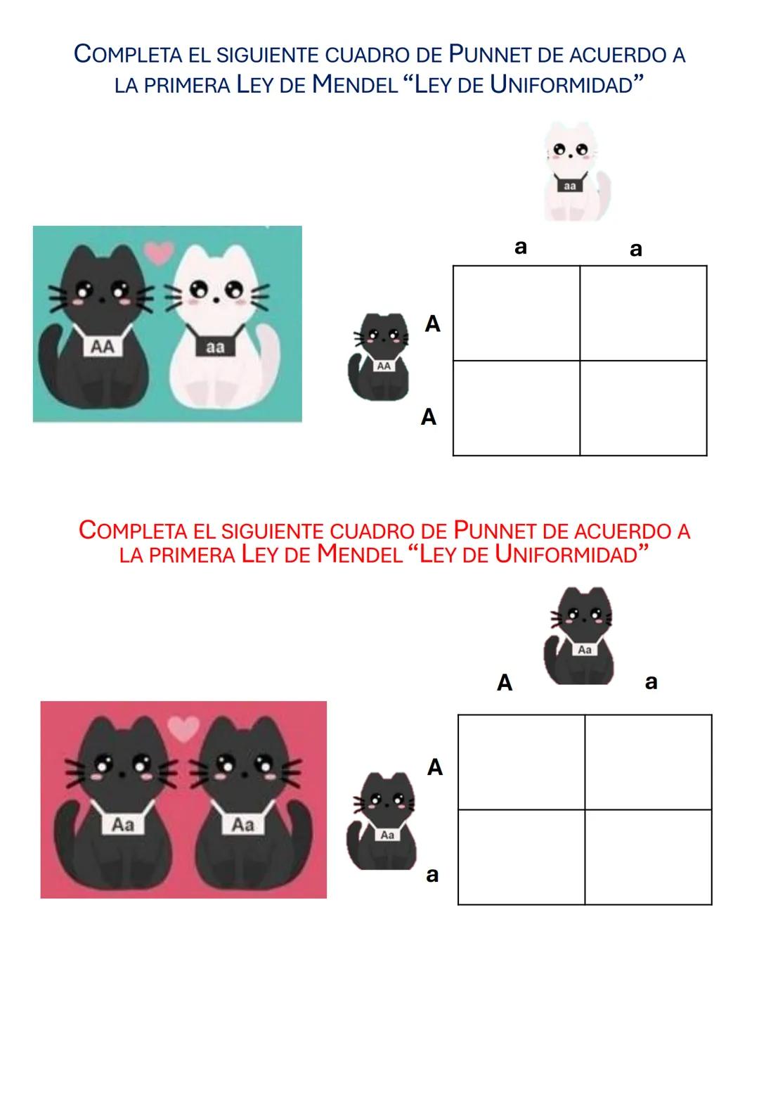Guía de estudio
Biología
1er Trimestre
Nombre:__________________________________
Dr. Ernesto Chanes Rodríguez-Ramírez
Lee cuidadosamente