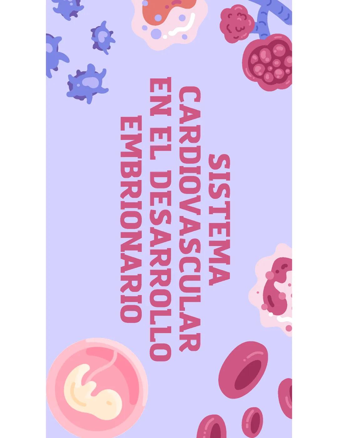 Sistema Cardiovascular