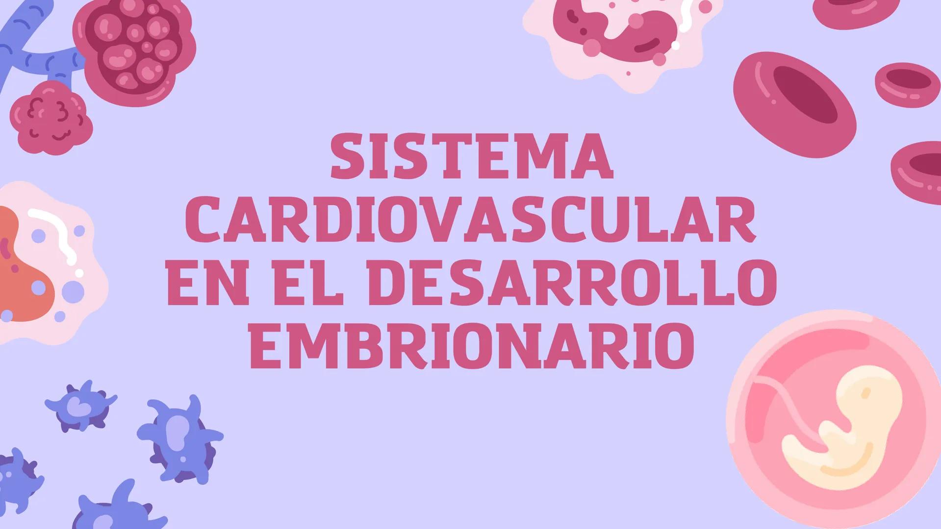 SISTEMA
CARDIOVASCULAR
EN EL DESARROLLO
EMBRIONARIO Contenidos
• Desarrollo del corazón
• Estructuras Embriológicas
• Desarrollo de los Vaso
