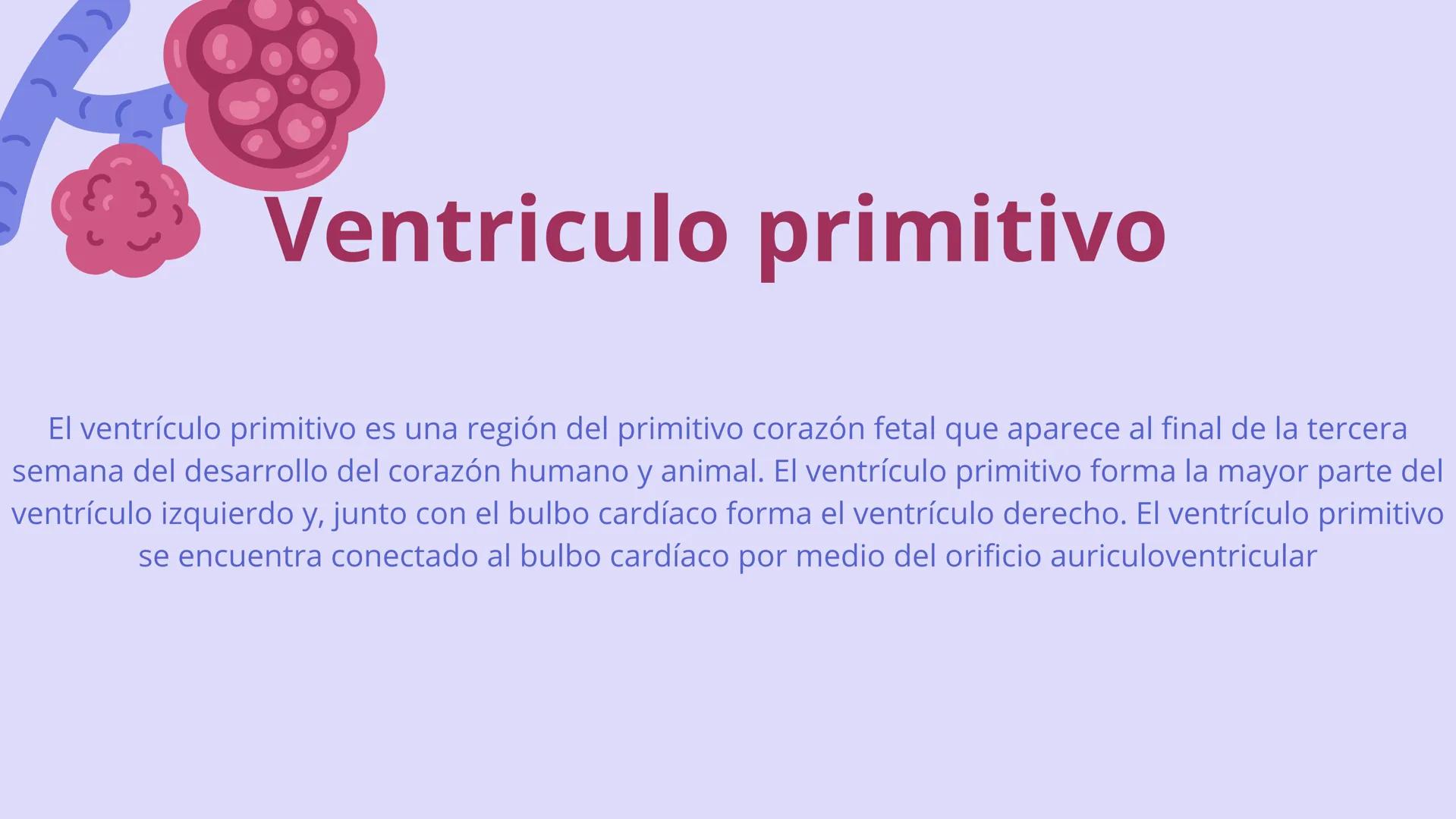 SISTEMA
CARDIOVASCULAR
EN EL DESARROLLO
EMBRIONARIO Contenidos
• Desarrollo del corazón
• Estructuras Embriológicas
• Desarrollo de los Vaso