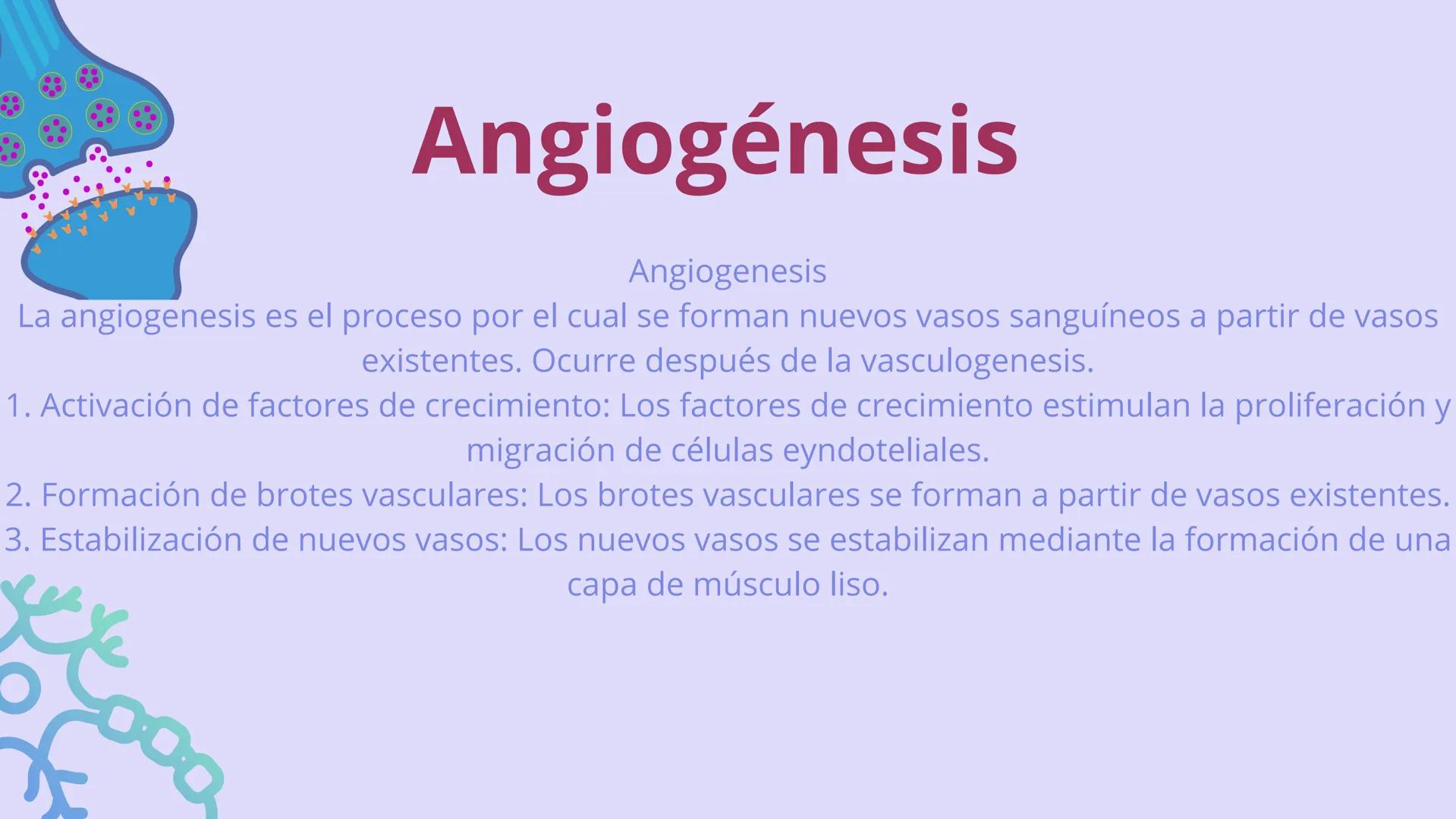 SISTEMA
CARDIOVASCULAR
EN EL DESARROLLO
EMBRIONARIO Contenidos
• Desarrollo del corazón
• Estructuras Embriológicas
• Desarrollo de los Vaso