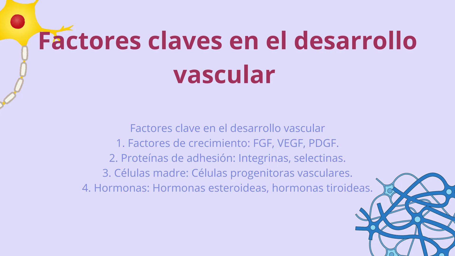 SISTEMA
CARDIOVASCULAR
EN EL DESARROLLO
EMBRIONARIO Contenidos
• Desarrollo del corazón
• Estructuras Embriológicas
• Desarrollo de los Vaso