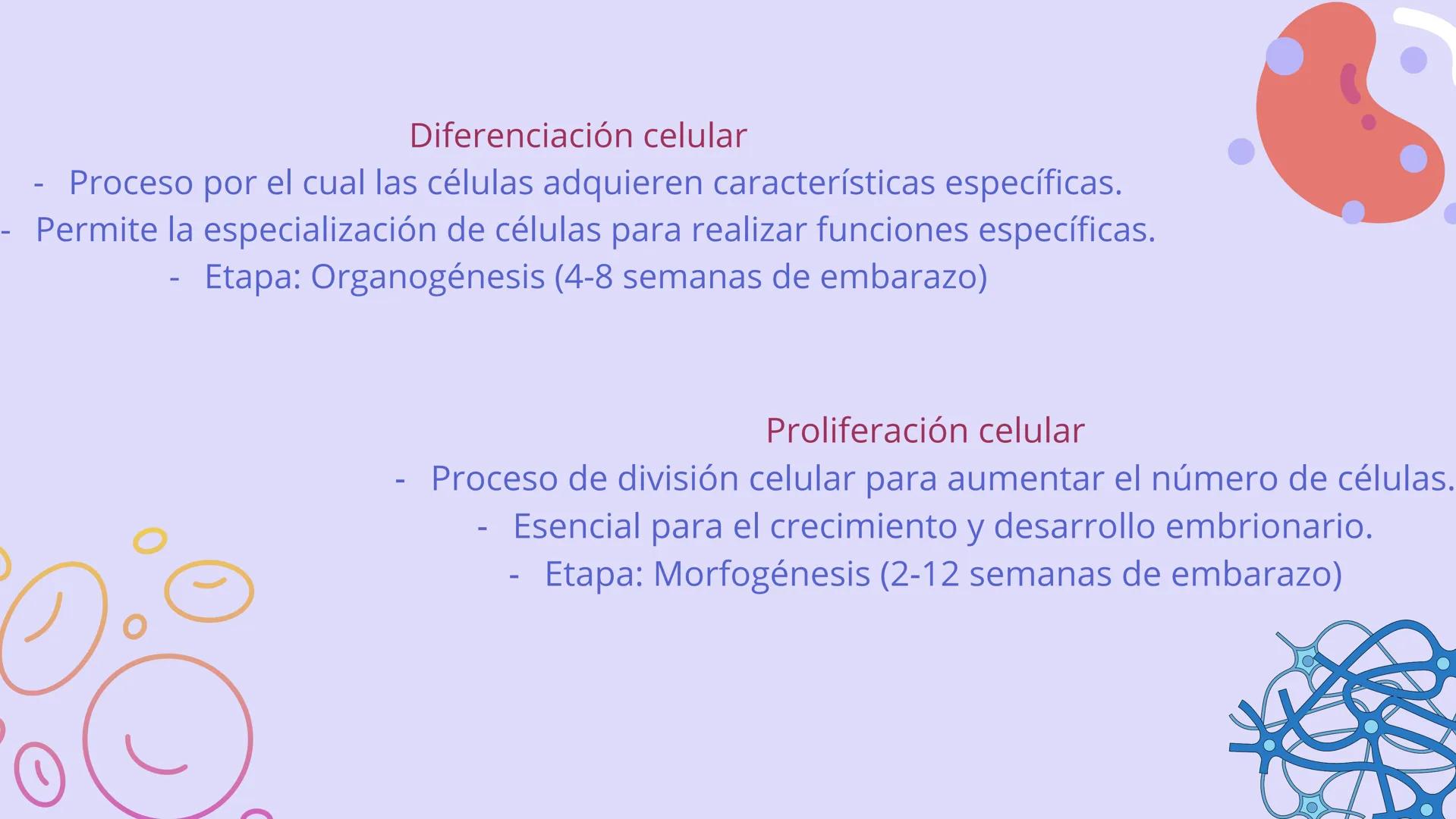 SISTEMA
CARDIOVASCULAR
EN EL DESARROLLO
EMBRIONARIO Contenidos
• Desarrollo del corazón
• Estructuras Embriológicas
• Desarrollo de los Vaso