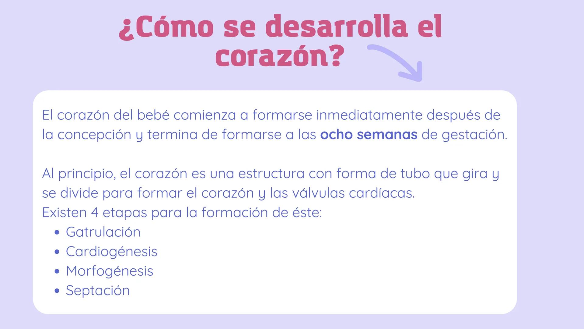 SISTEMA
CARDIOVASCULAR
EN EL DESARROLLO
EMBRIONARIO Contenidos
• Desarrollo del corazón
• Estructuras Embriológicas
• Desarrollo de los Vaso