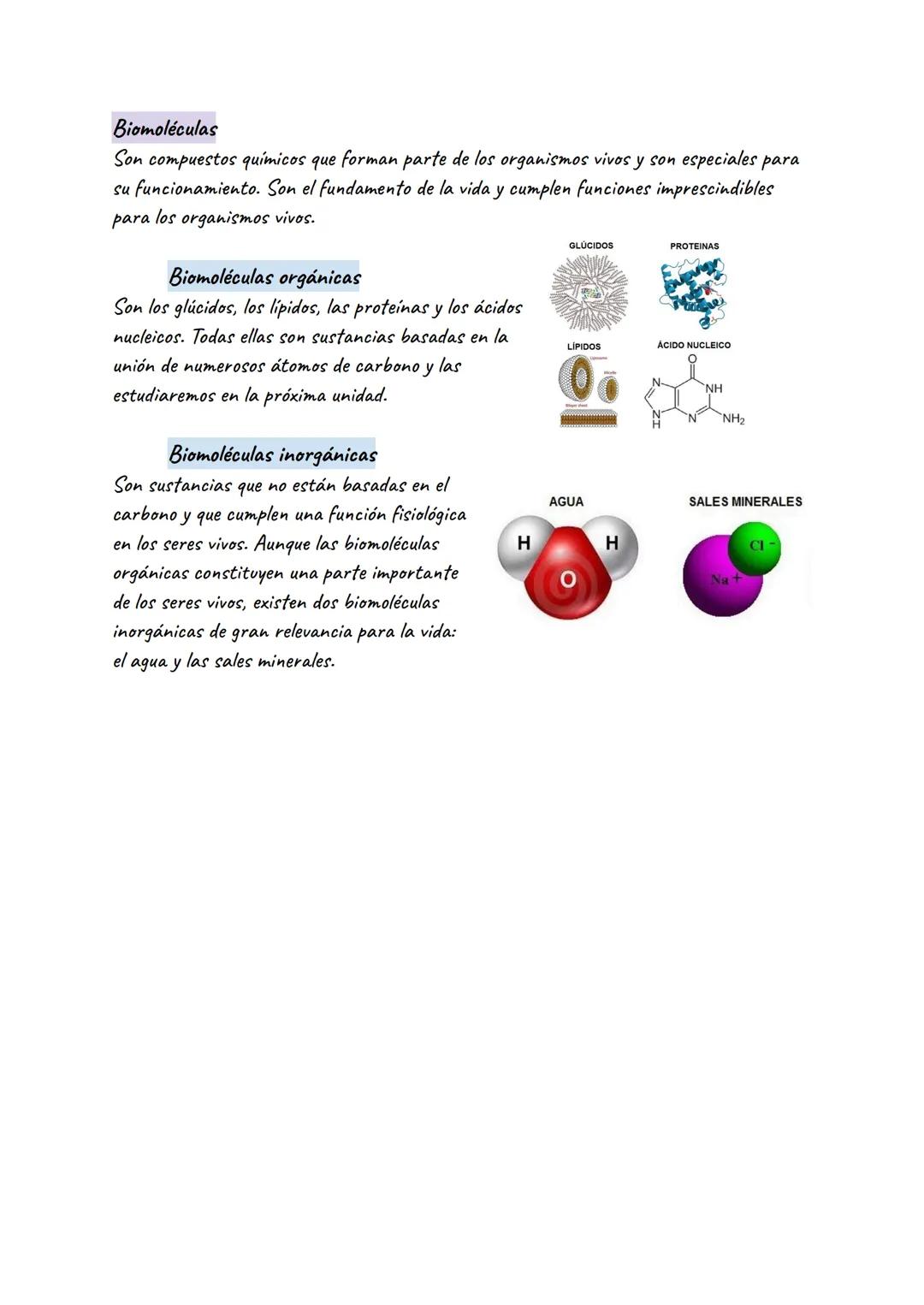 # BIOELEMENTOS
Y
# BIOMOLÉCULAS
BIOELEMENTOS
Bioelementos
Son los elementos
químicos que forman
parte de los seres
vivos y son necesarios