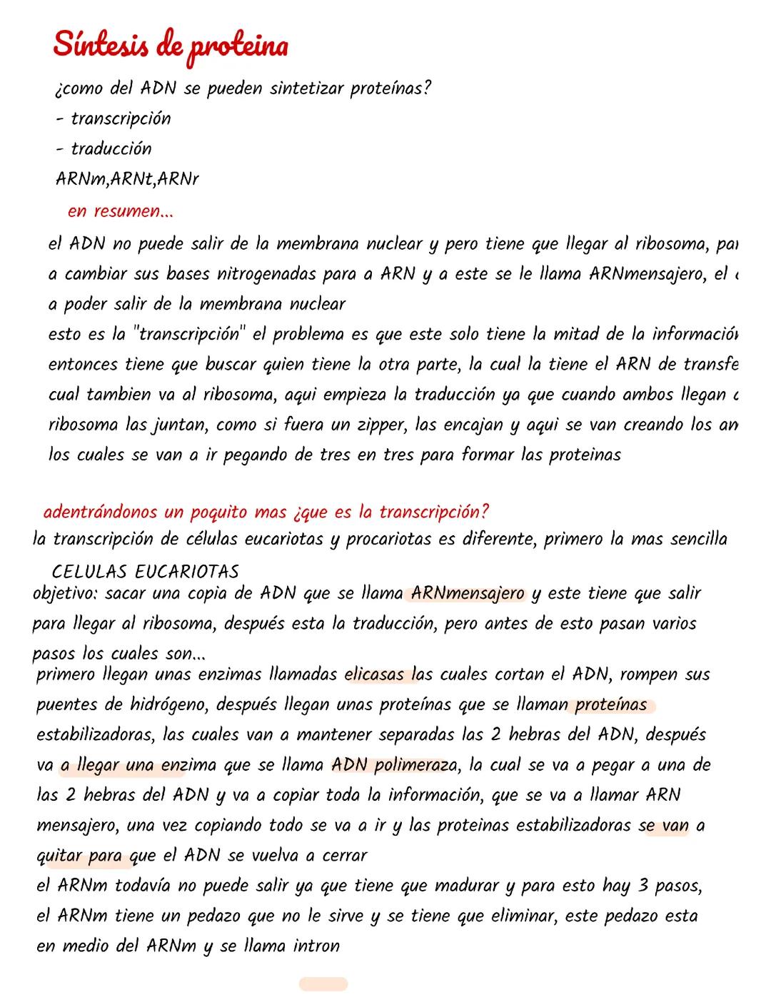 Resumen de la síntesis de proteinas en las células eucariotas