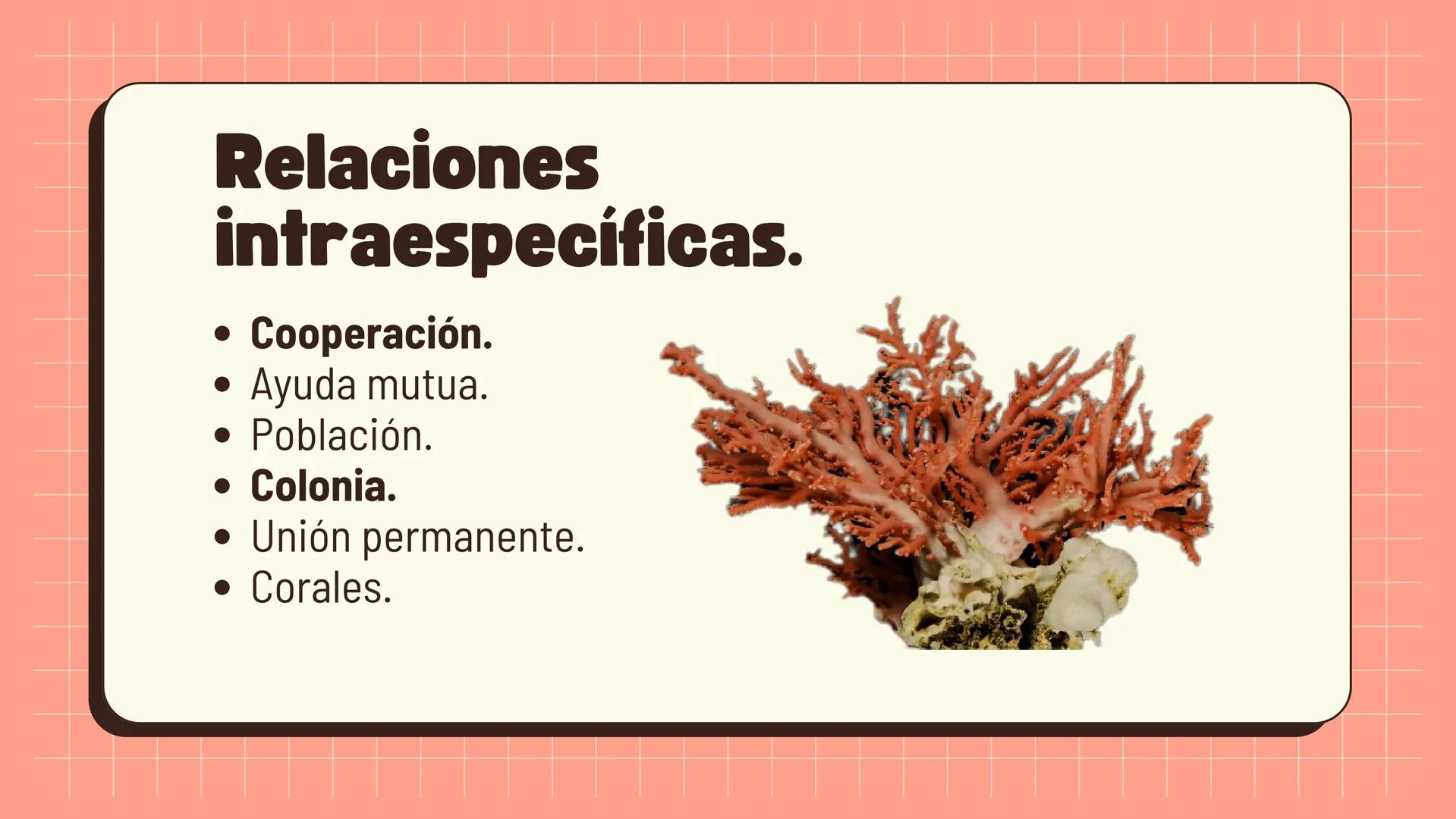 Relaciones
interespecíficas e
intraespecíficas.
Ecosistemas: interacciones, energía y dinámica. Relaciones
ambientales.
Establecidos entre
o